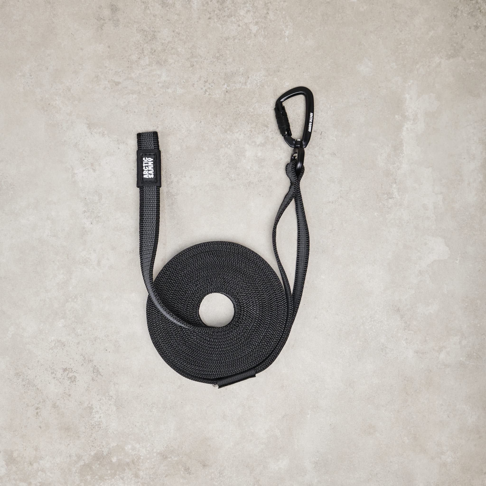 Train and Recall Long Line Dog Leash
