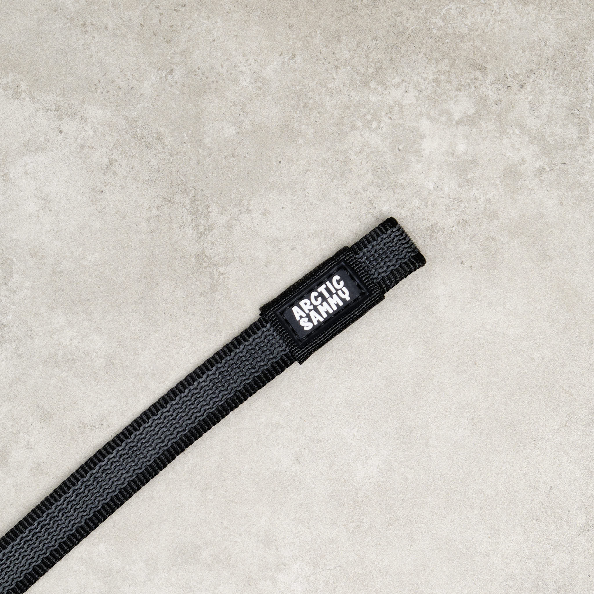 Train and Recall Long Line Dog Leash