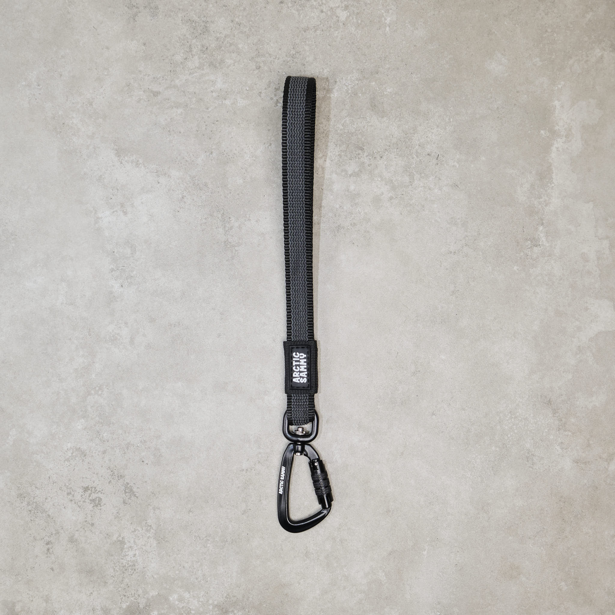 Train and Recall Long Line Dog Leash - Handle