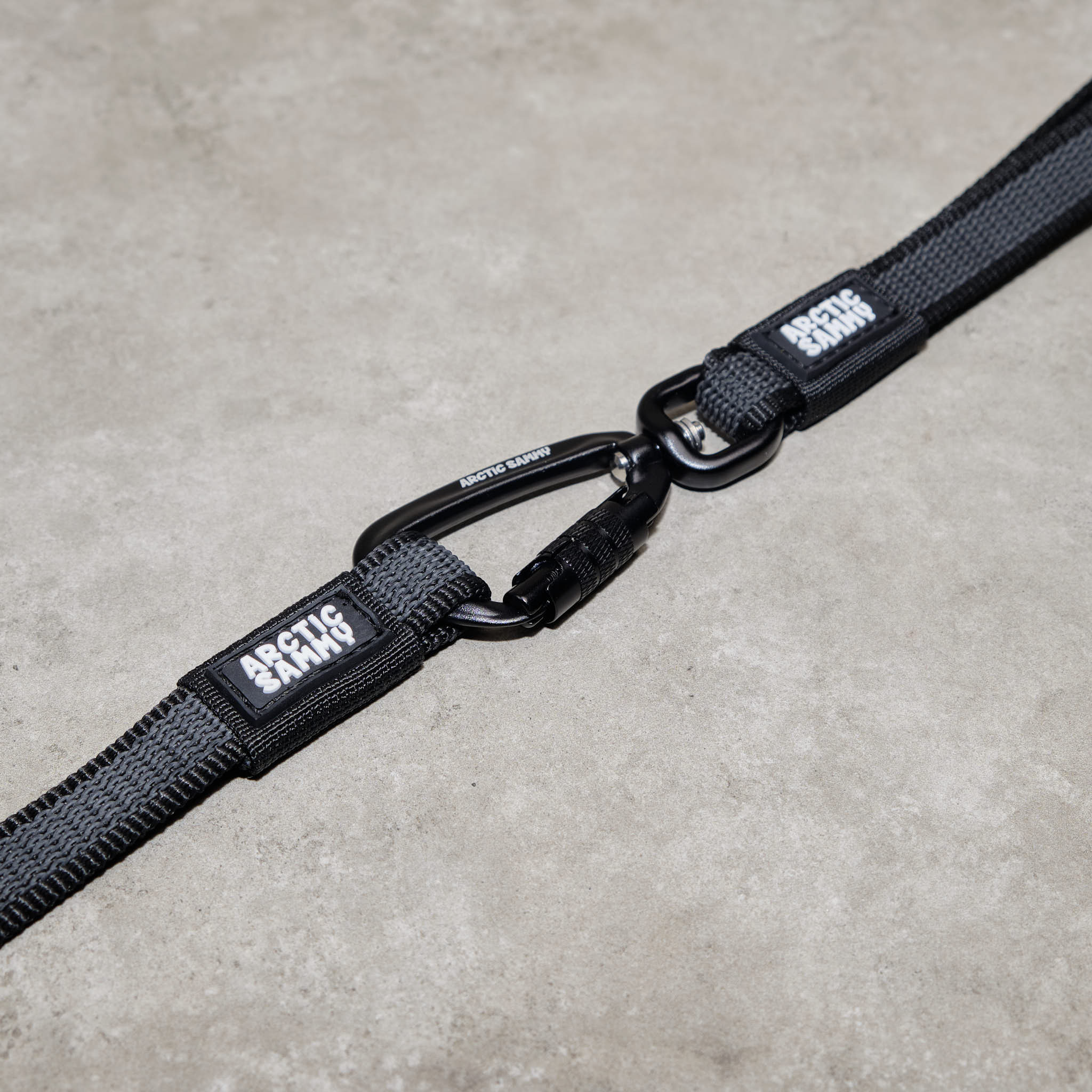 Train and Recall Long Line Dog Leash