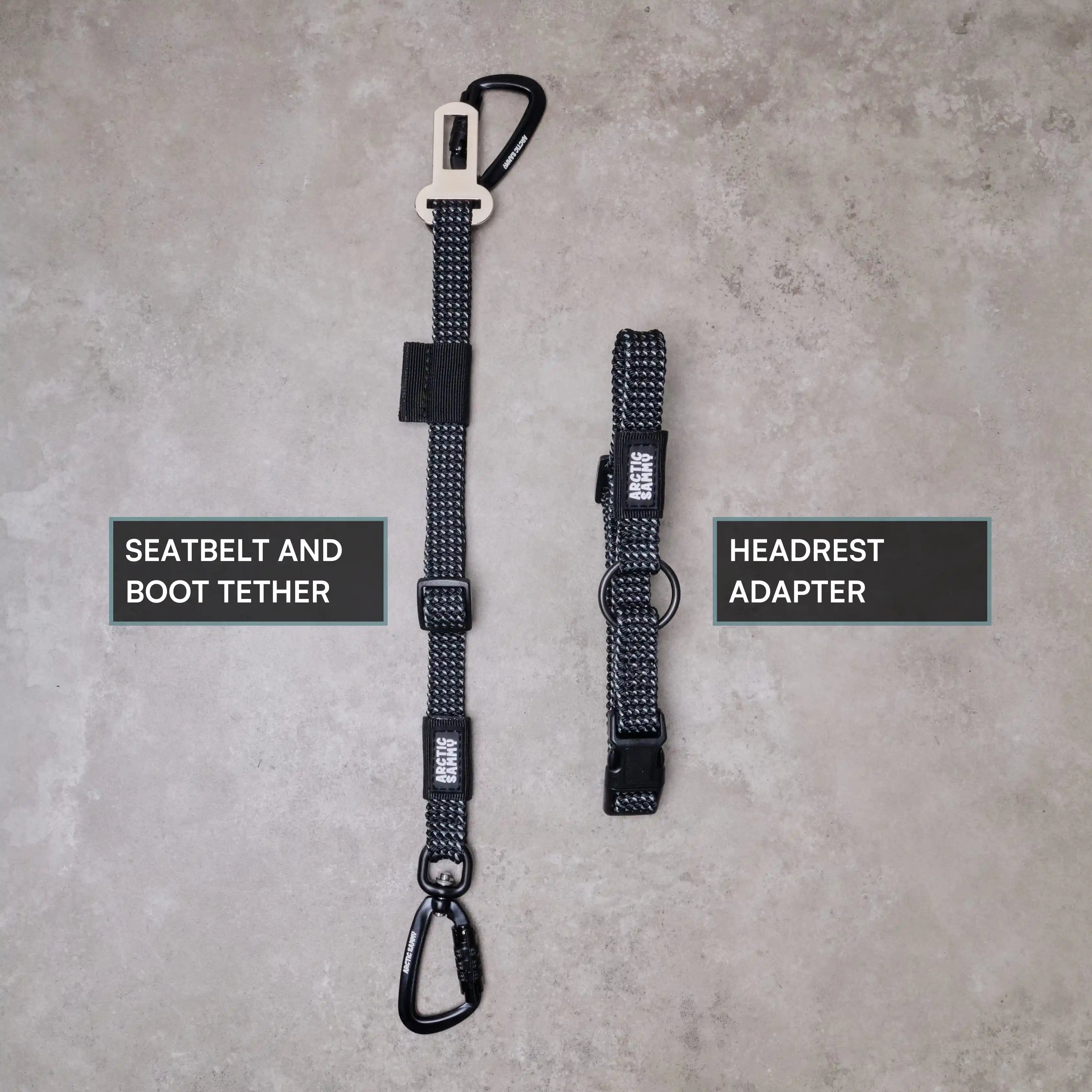 3-in-1 Dog Car Tether Mackenzie