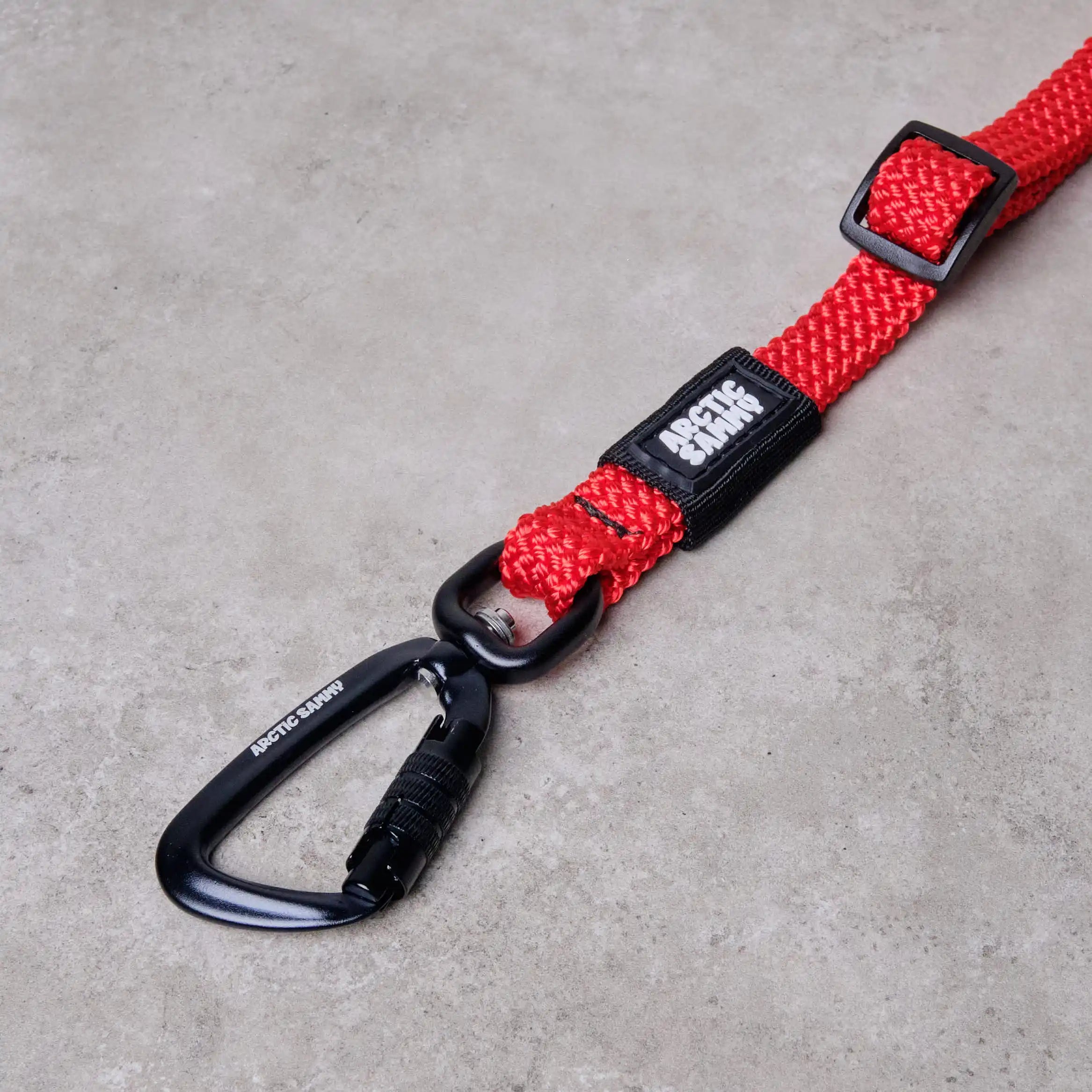 3-in-1 Dog Car Tether Monowai