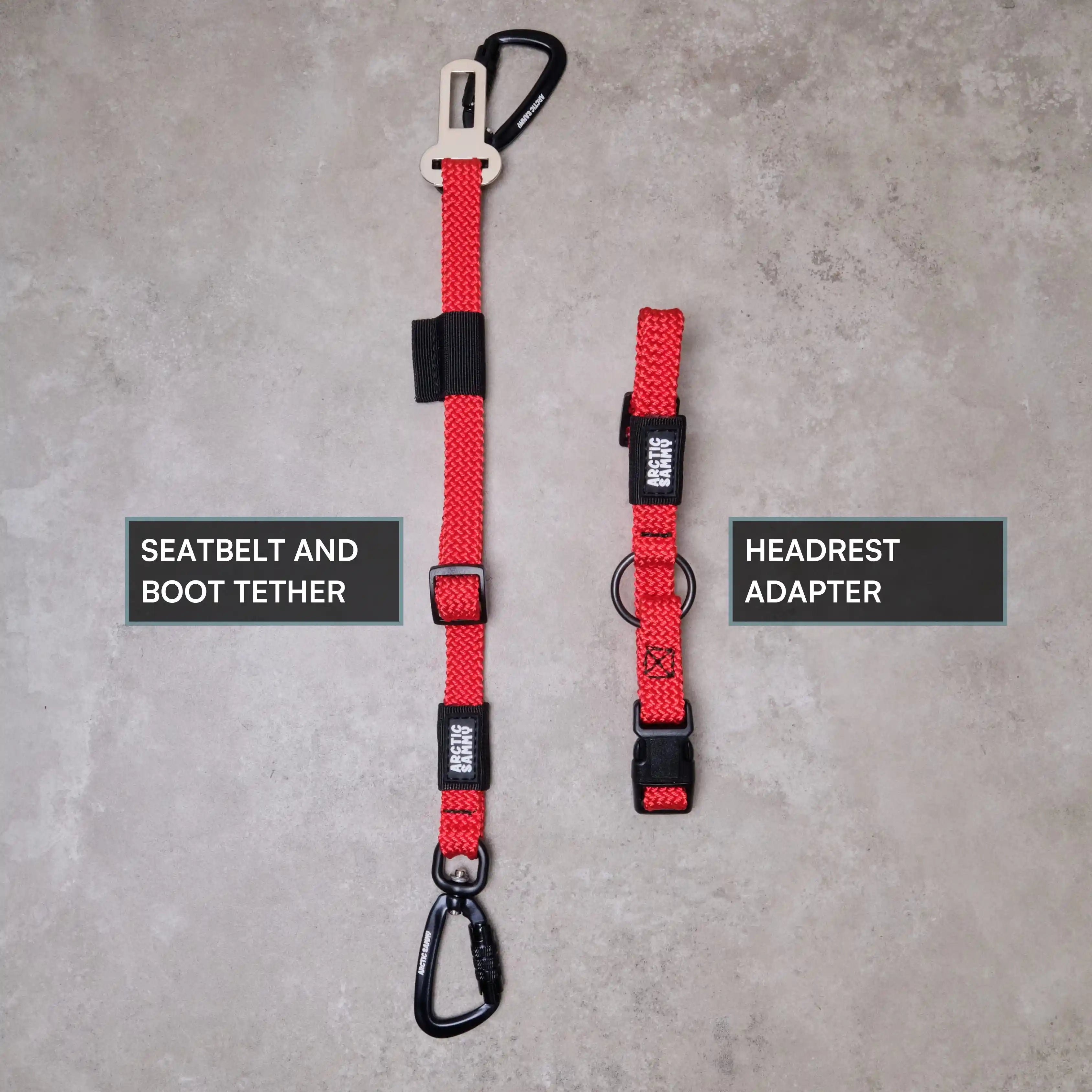 3-in-1 Dog Car Tether Monowai