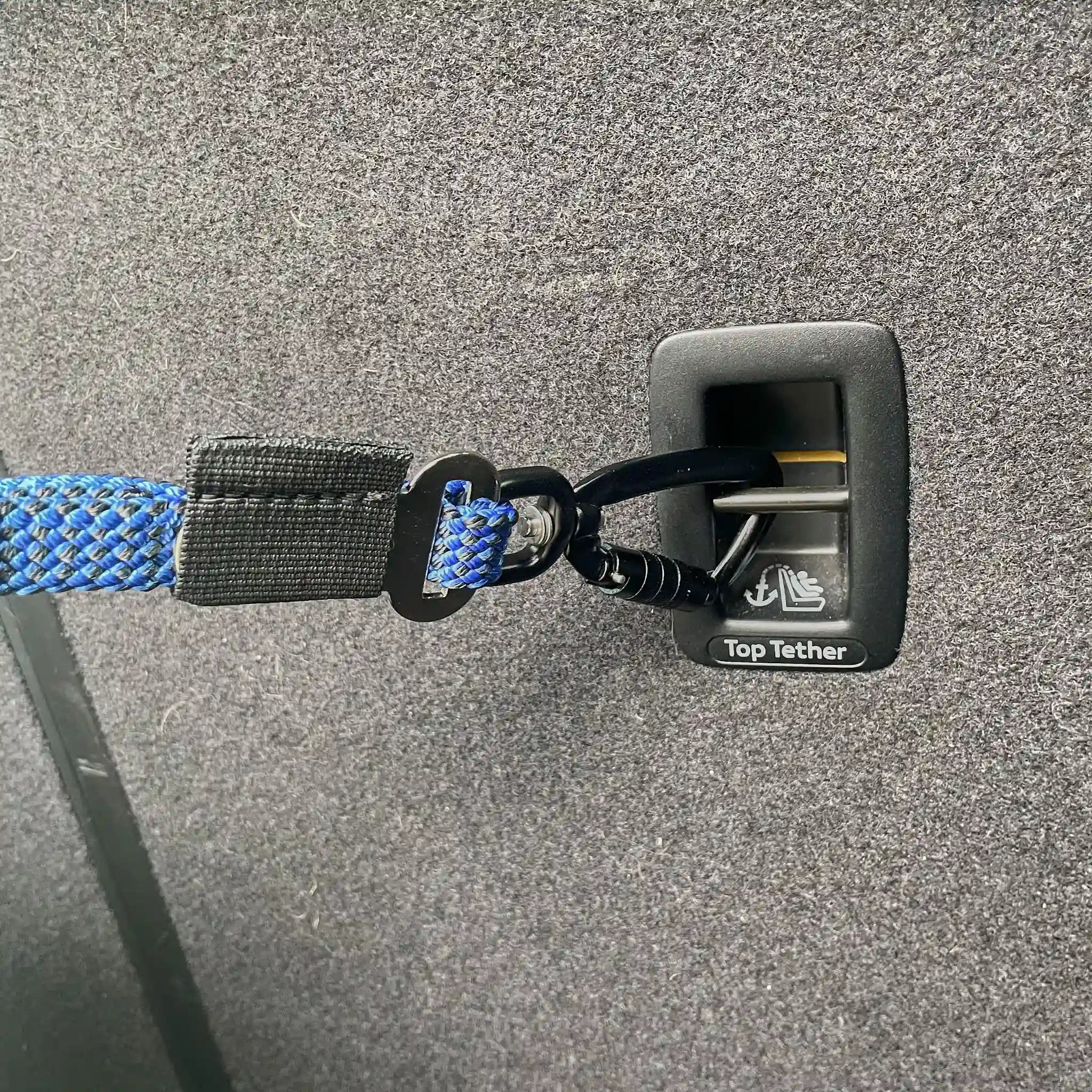 3-in-1 Dog Car Tether Ohau