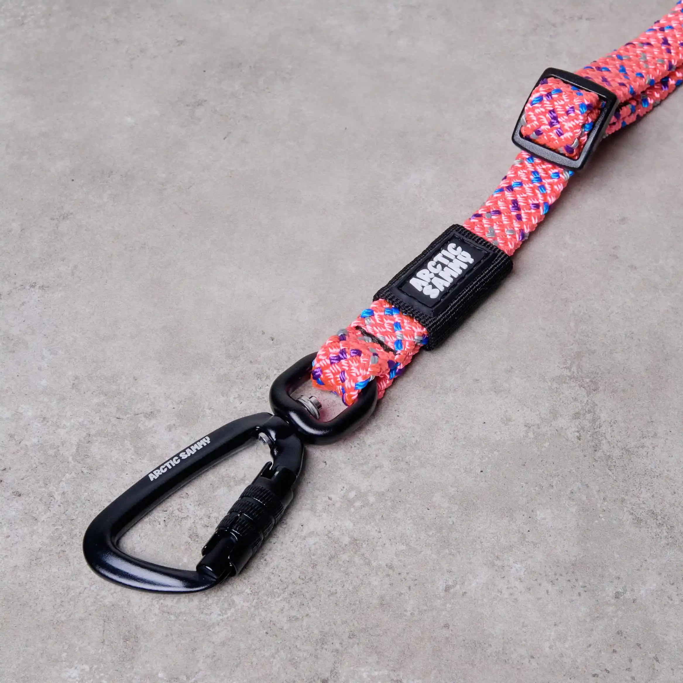 3-in-1 Dog Car Tether Ohau