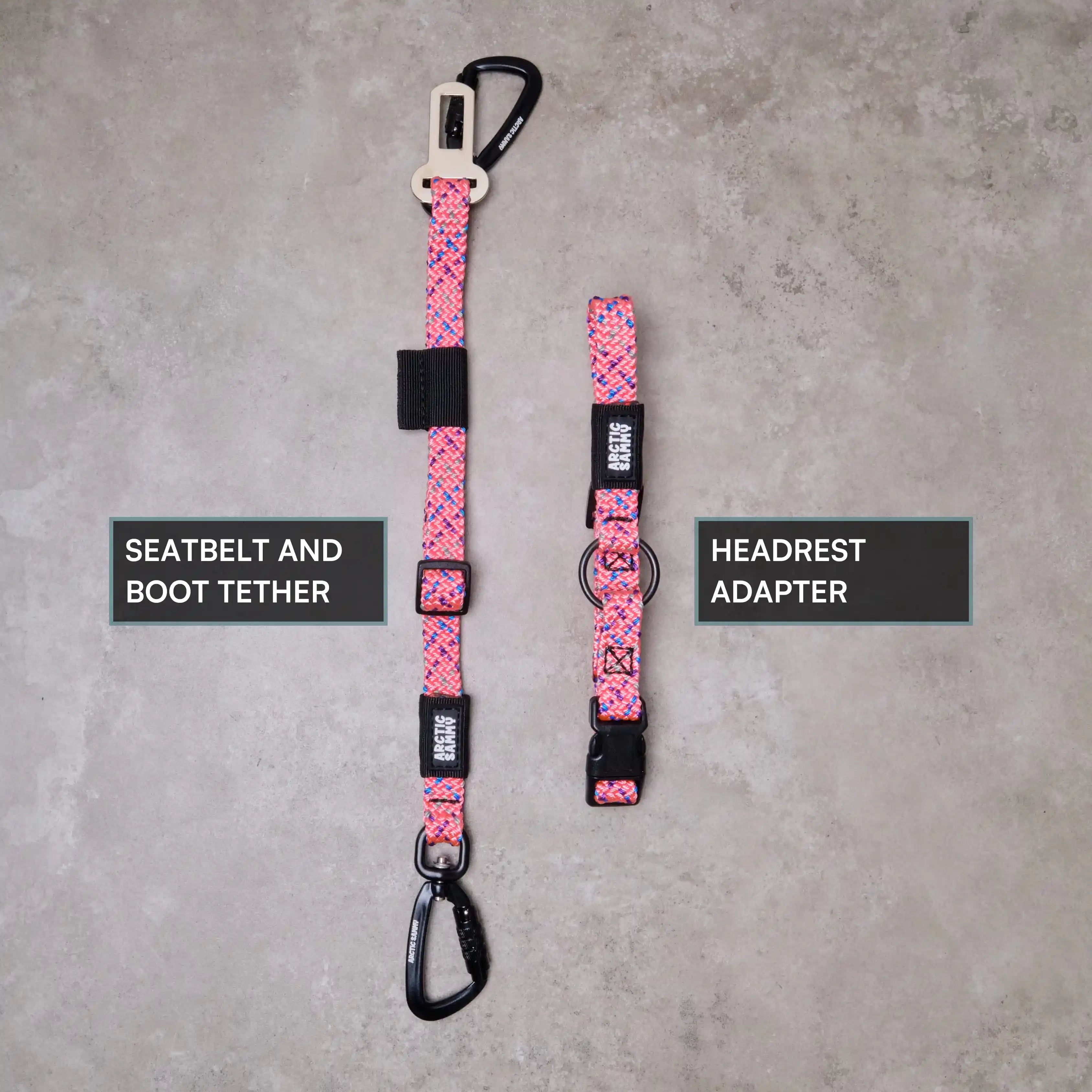 3-in-1 Dog Car Tether Ohau