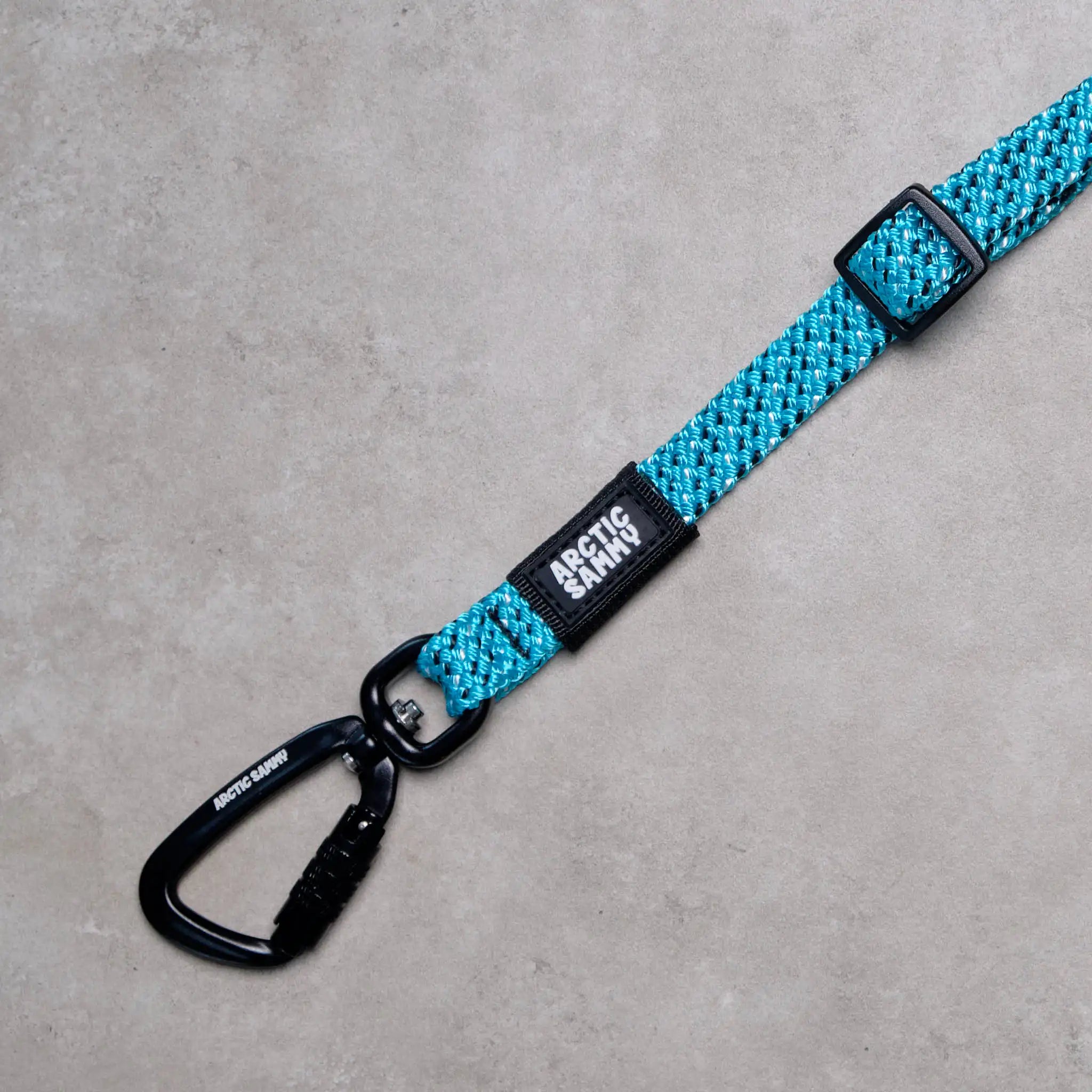 3-in-1 Dog Car Tether Pukaki