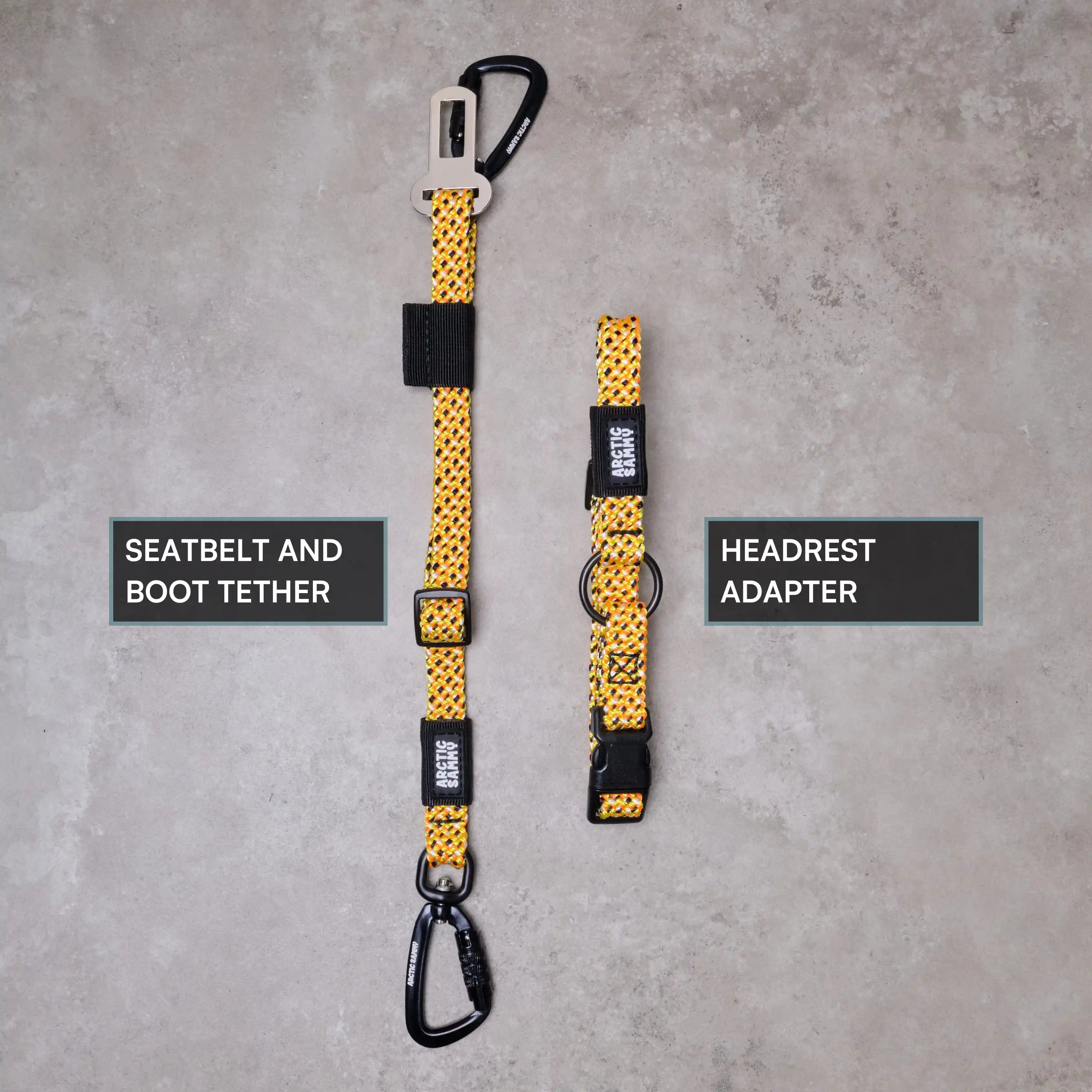 3-in-1 Dog Car Tether Raglan