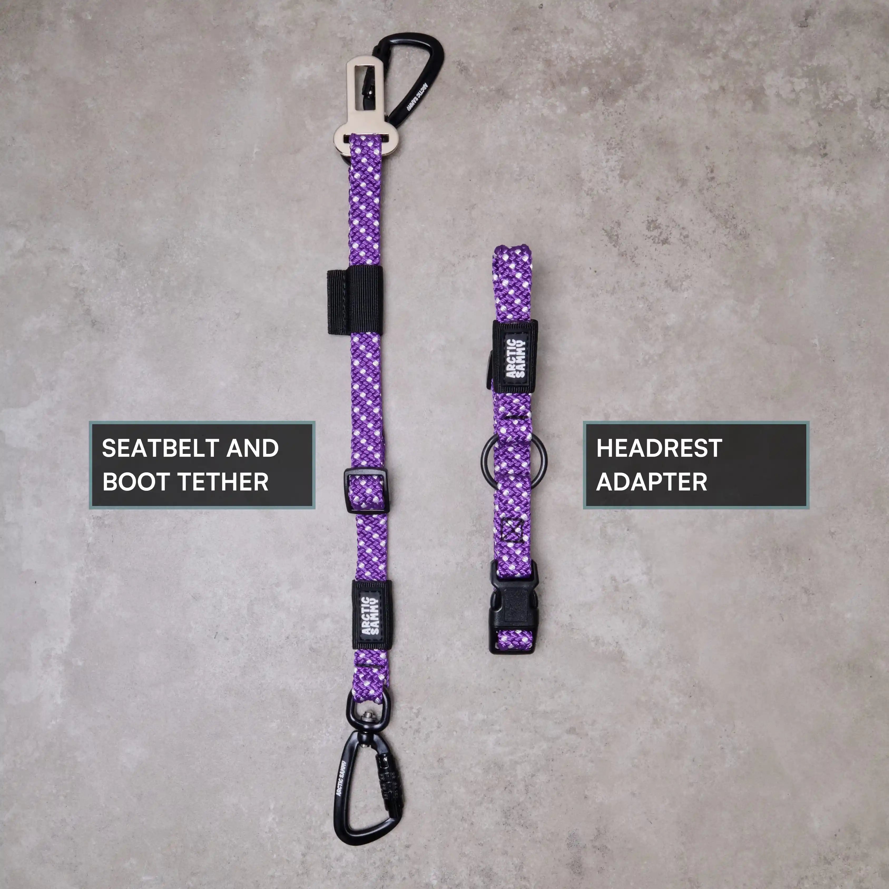 3-in-1 Dog Car Tether Waihi