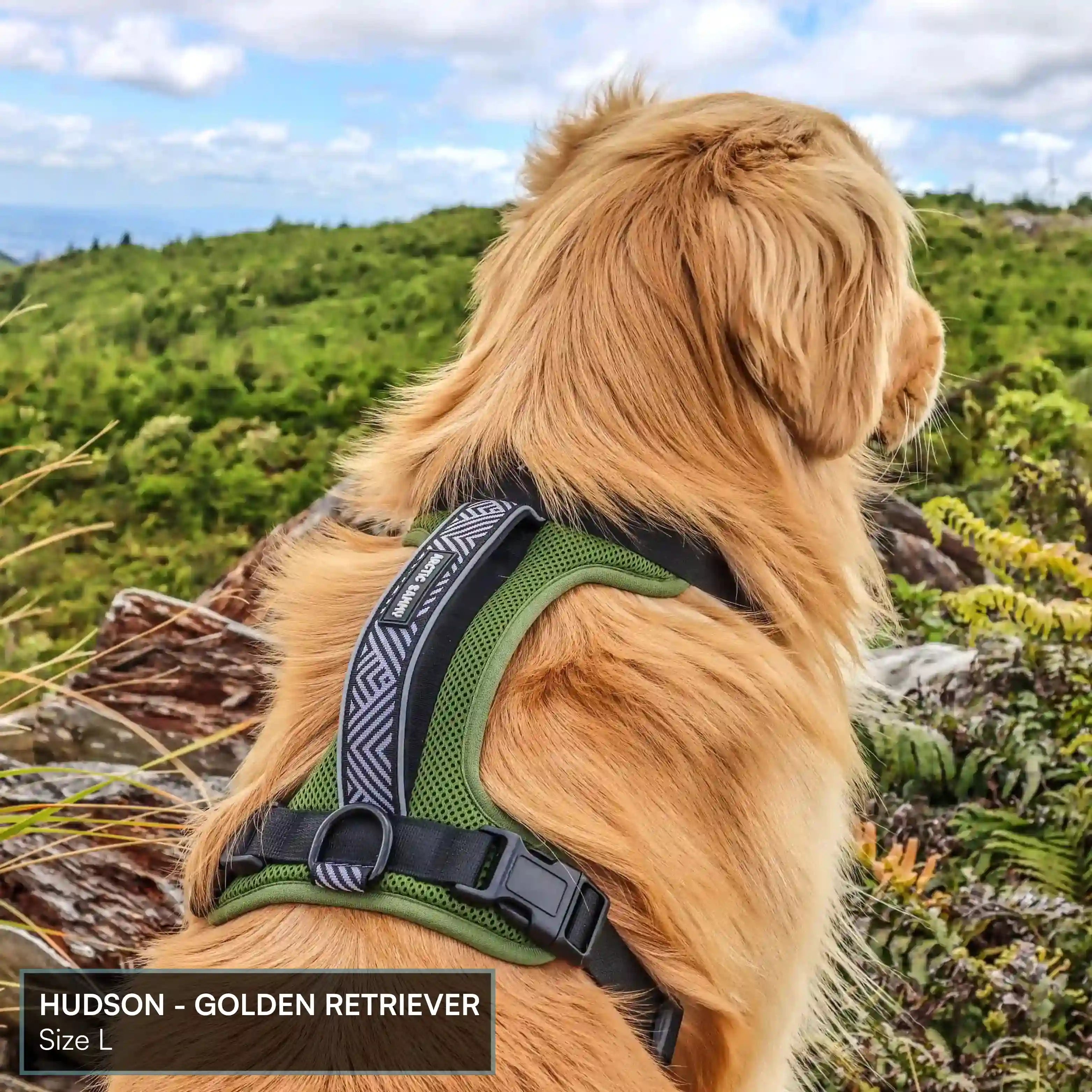 Arctic Sammy Adventure Dog Harness - Black