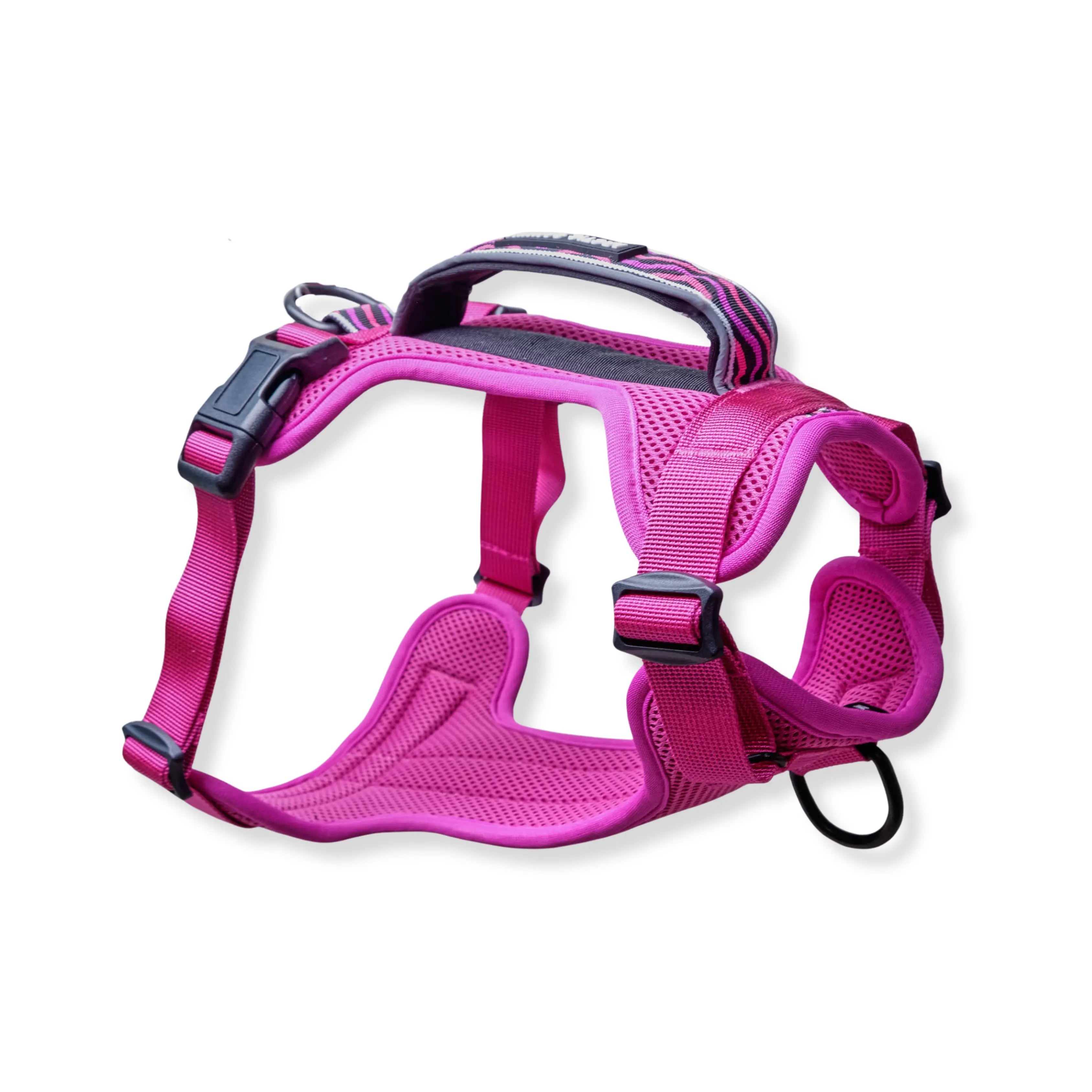 Arctic Sammy Adventure Dog Harness - Black