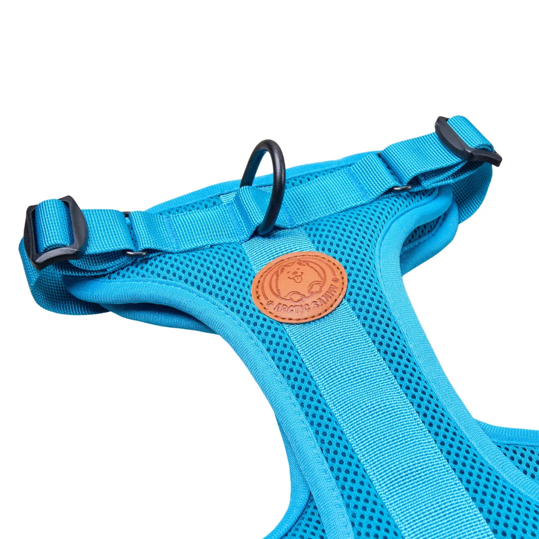 Arctic Sammy Adventure Dog Harness - Teal