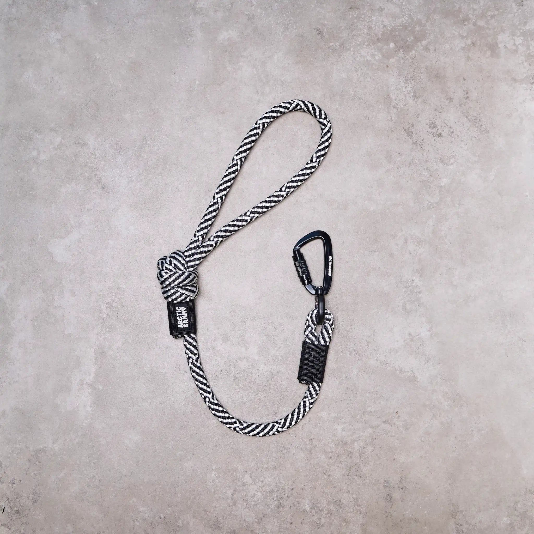 Aoraki City Walker Dog Traffic Leash