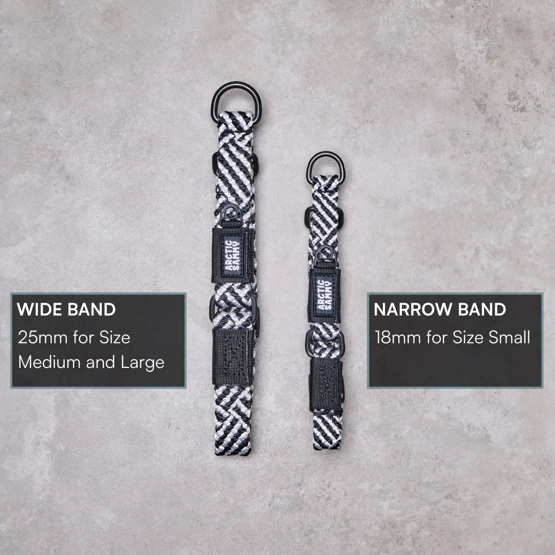 Aoraki Martingale Collar