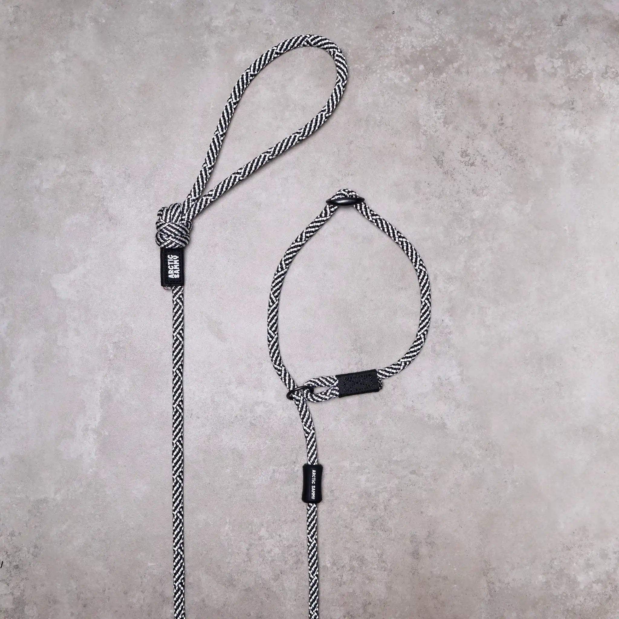 Aoraki Dog Slip Leash