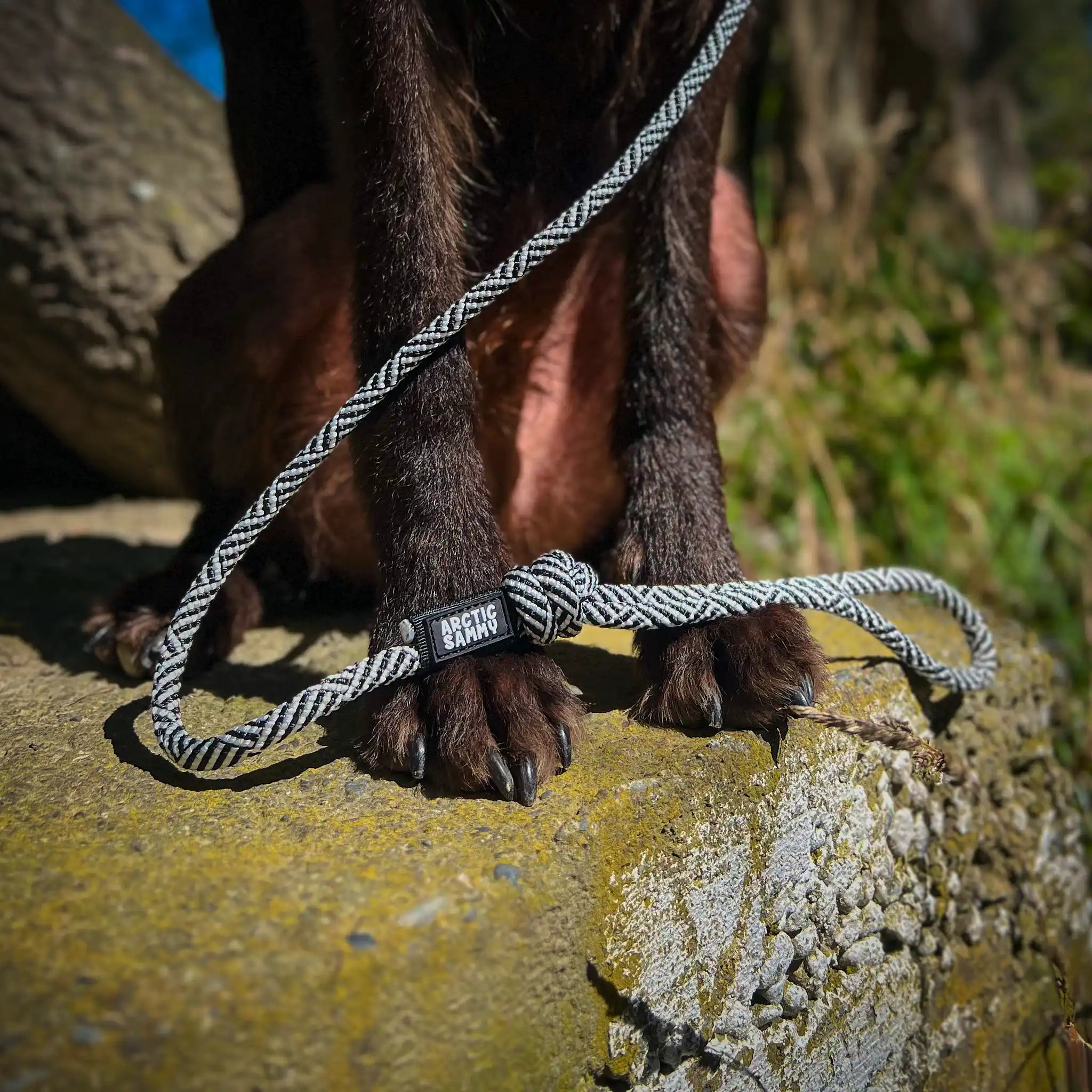 Aoraki Rope Dog Leash