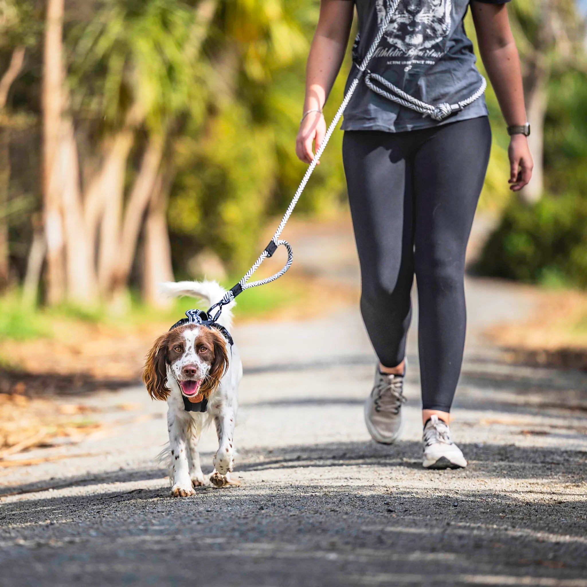 Aoraki Trail Runner Handsfree Dog Leash