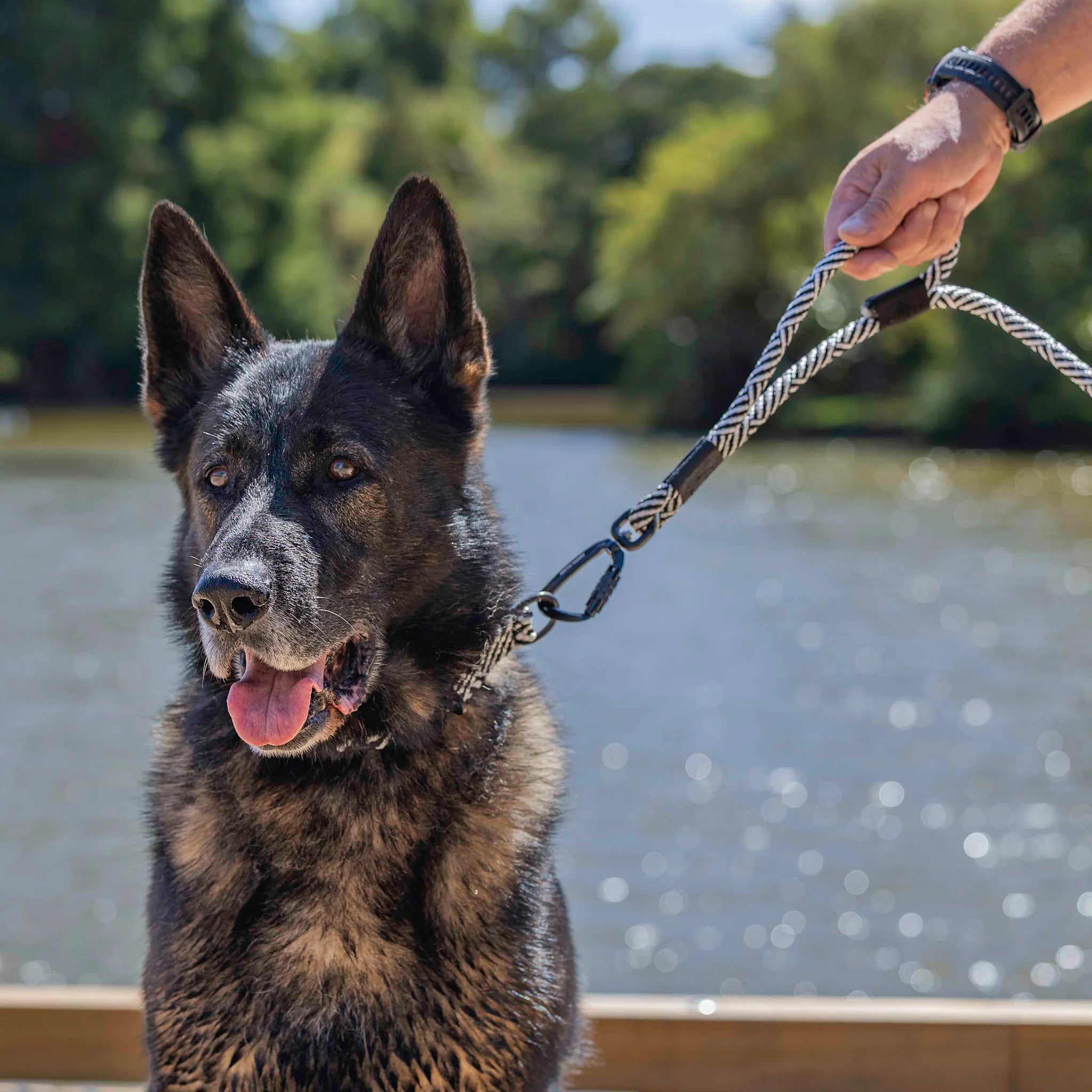 Aoraki Rope Dog Leash with Traffic Handle