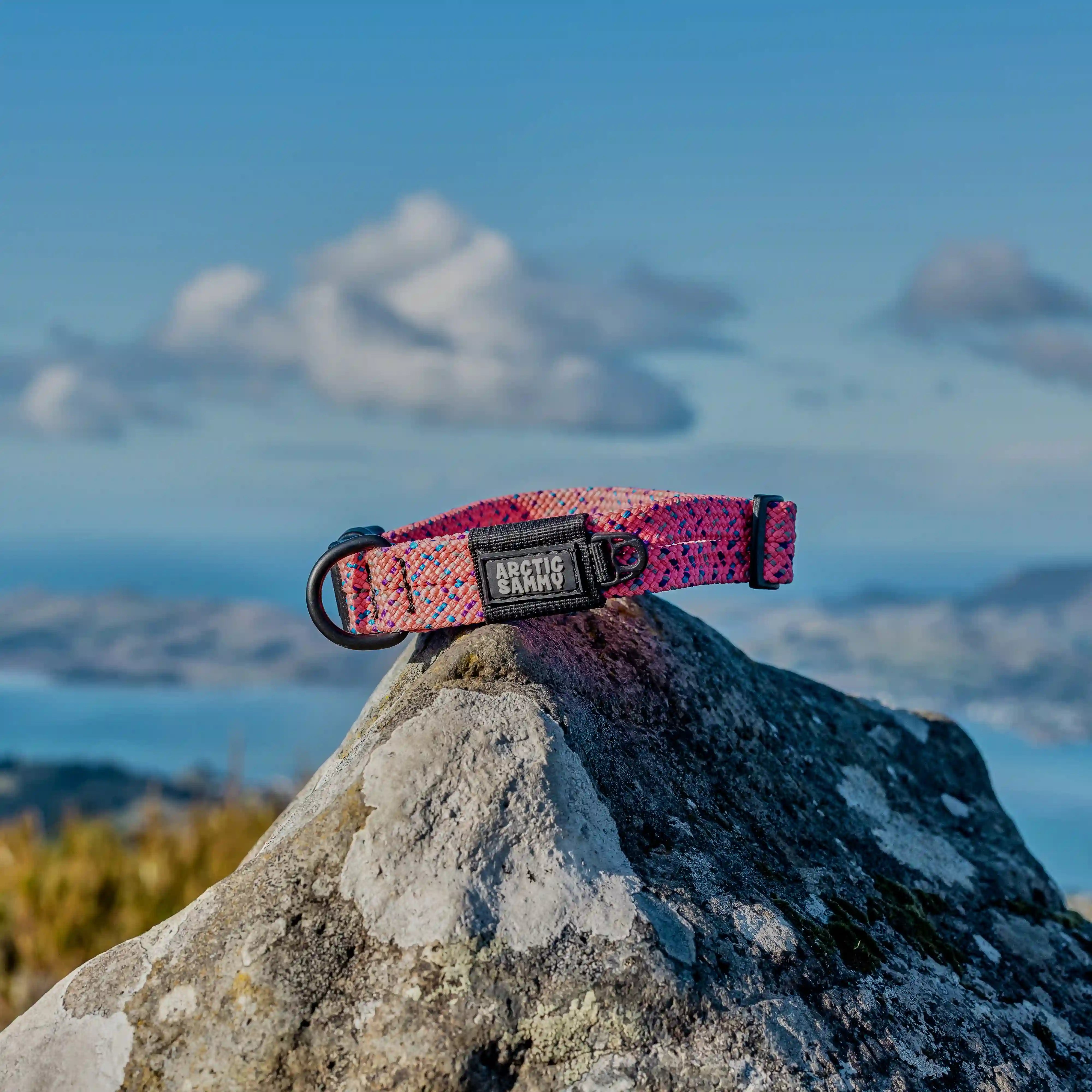 Ohau Dog Collar