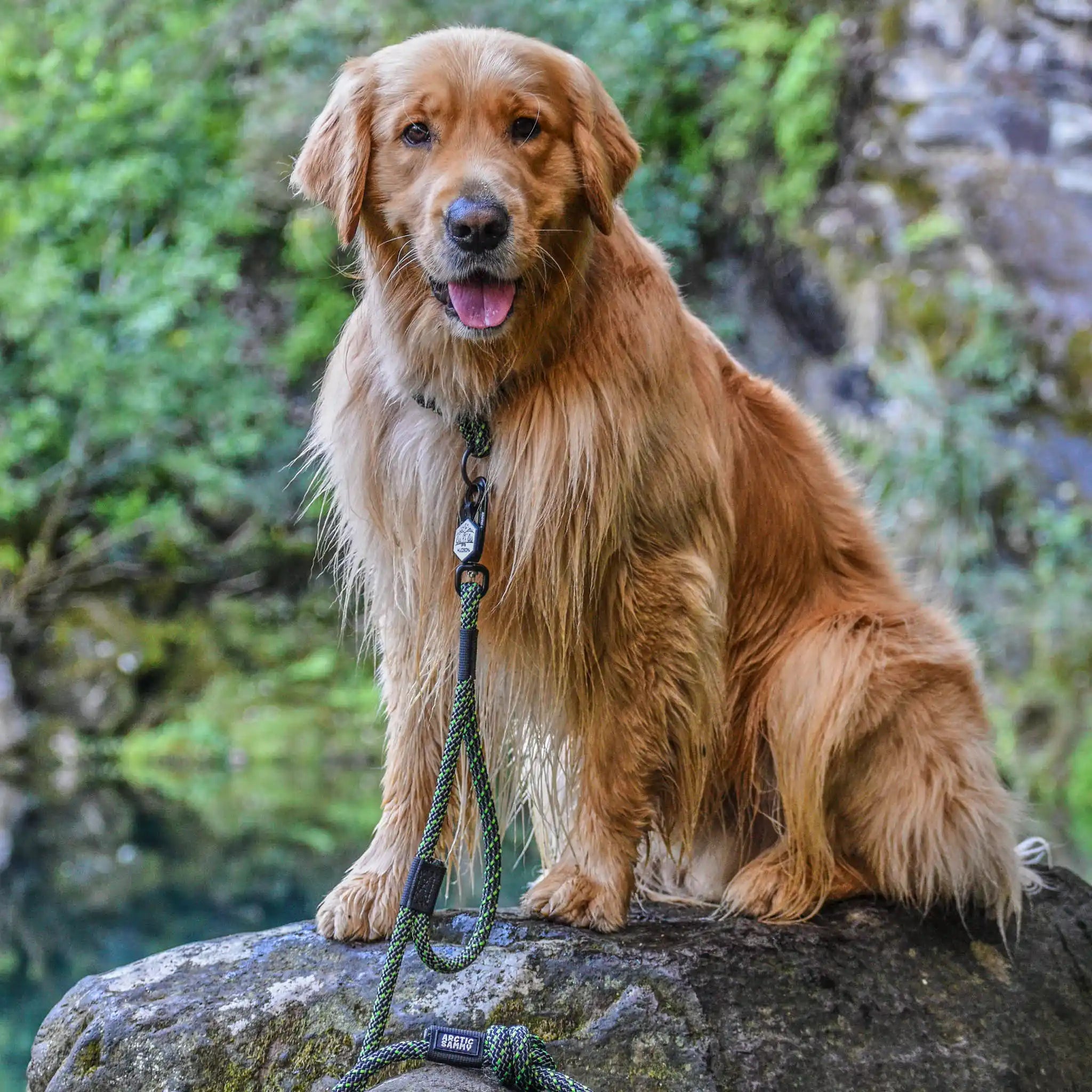 Craigieburn Rope Dog Leash with Traffic Handle