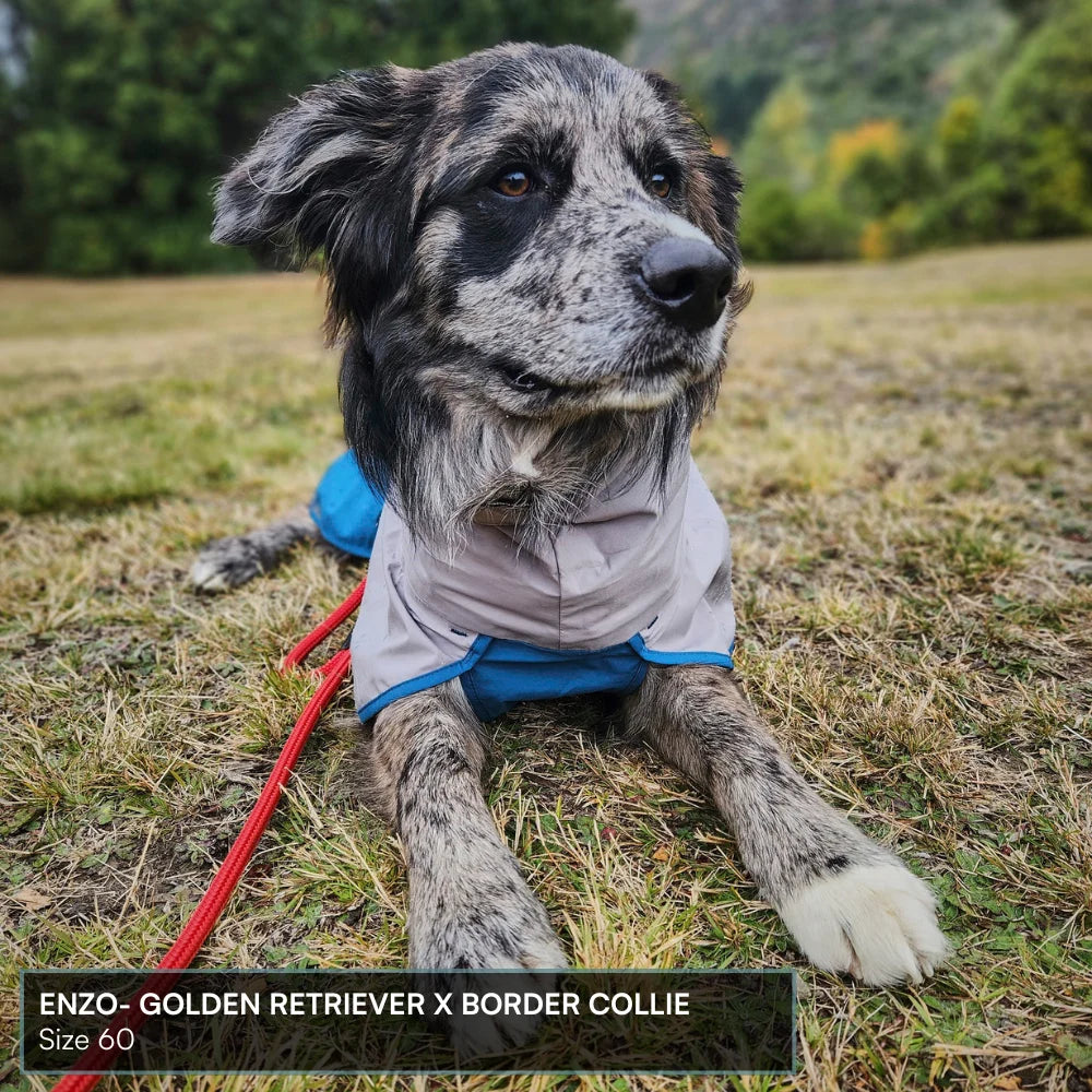 Dog Raincoat Milford