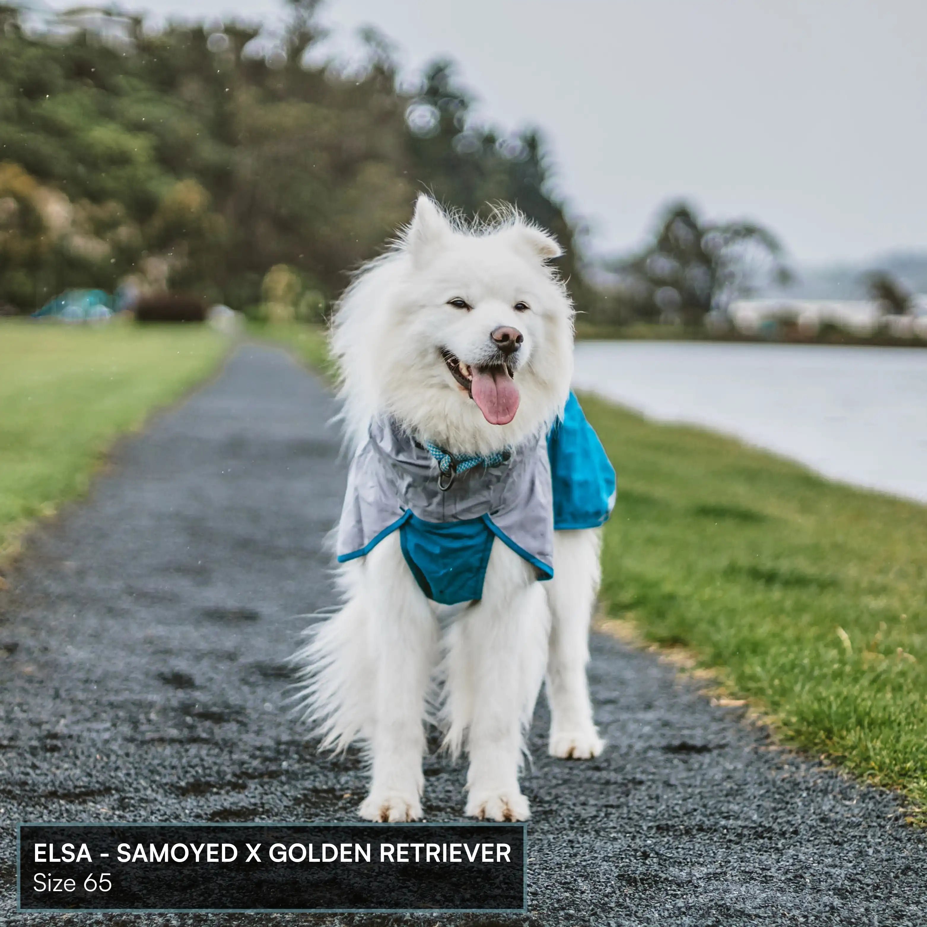 Dog Raincoat Milford