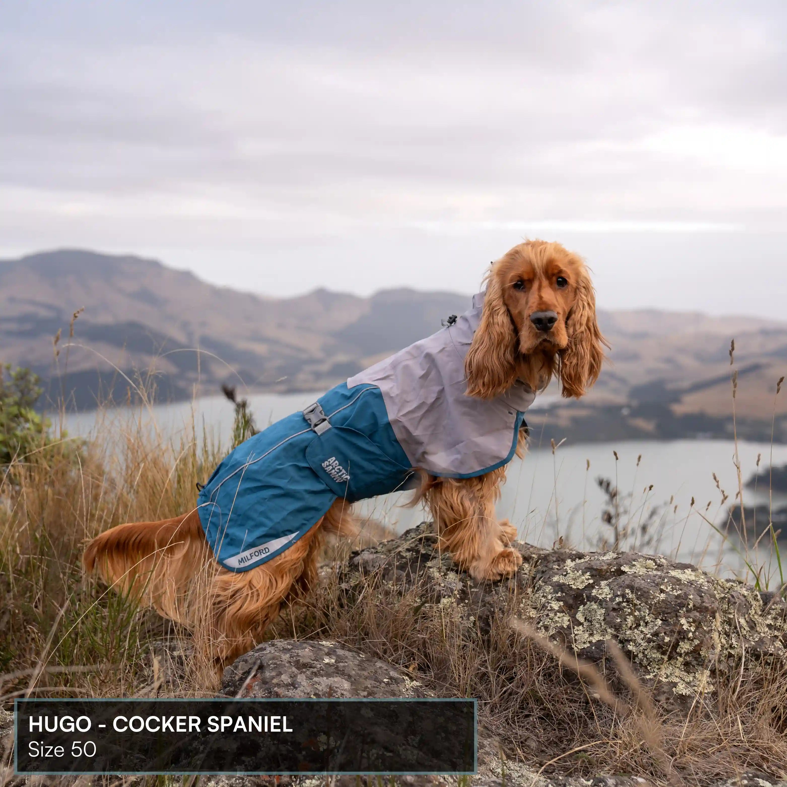Dog Raincoat Milford