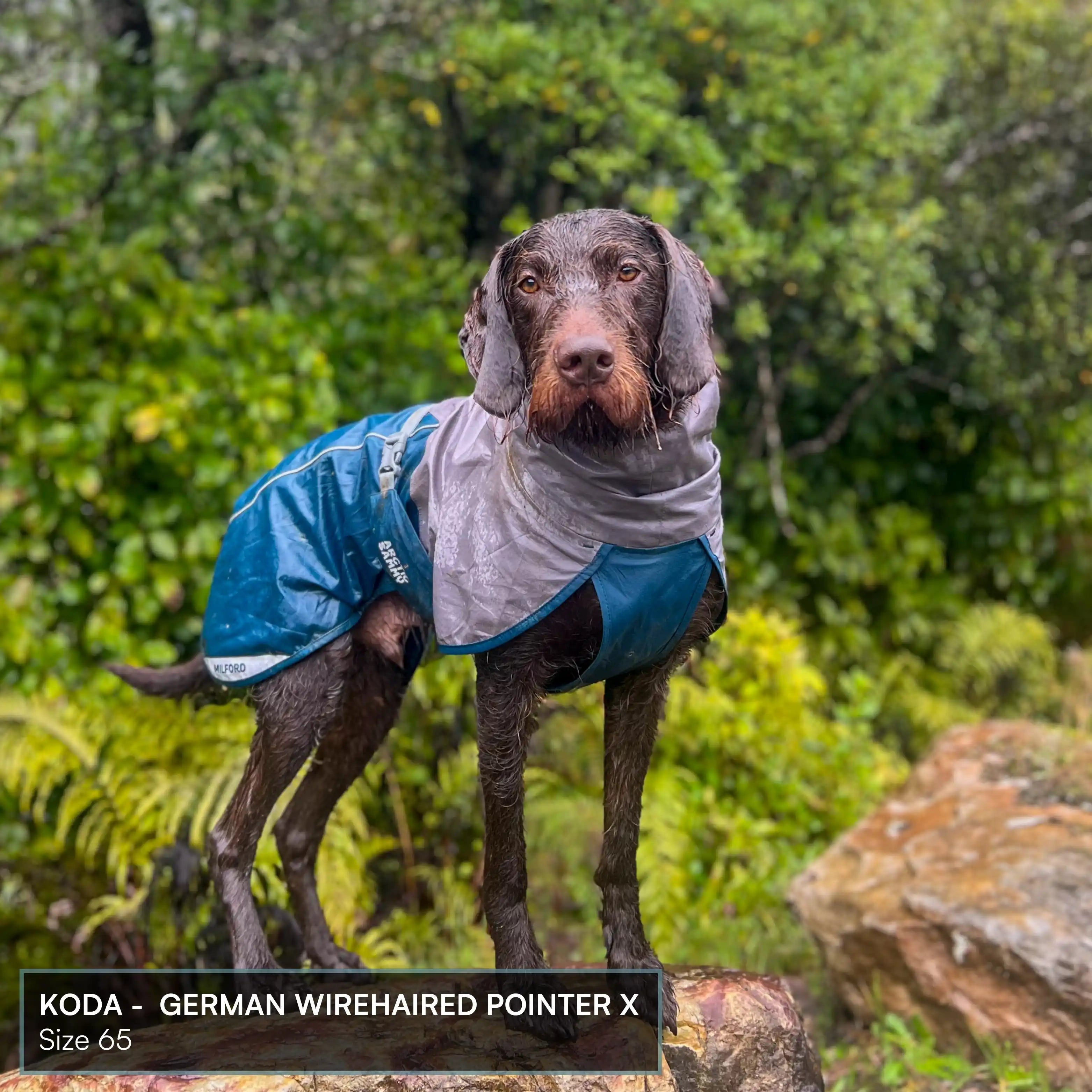 Dog Raincoat Milford