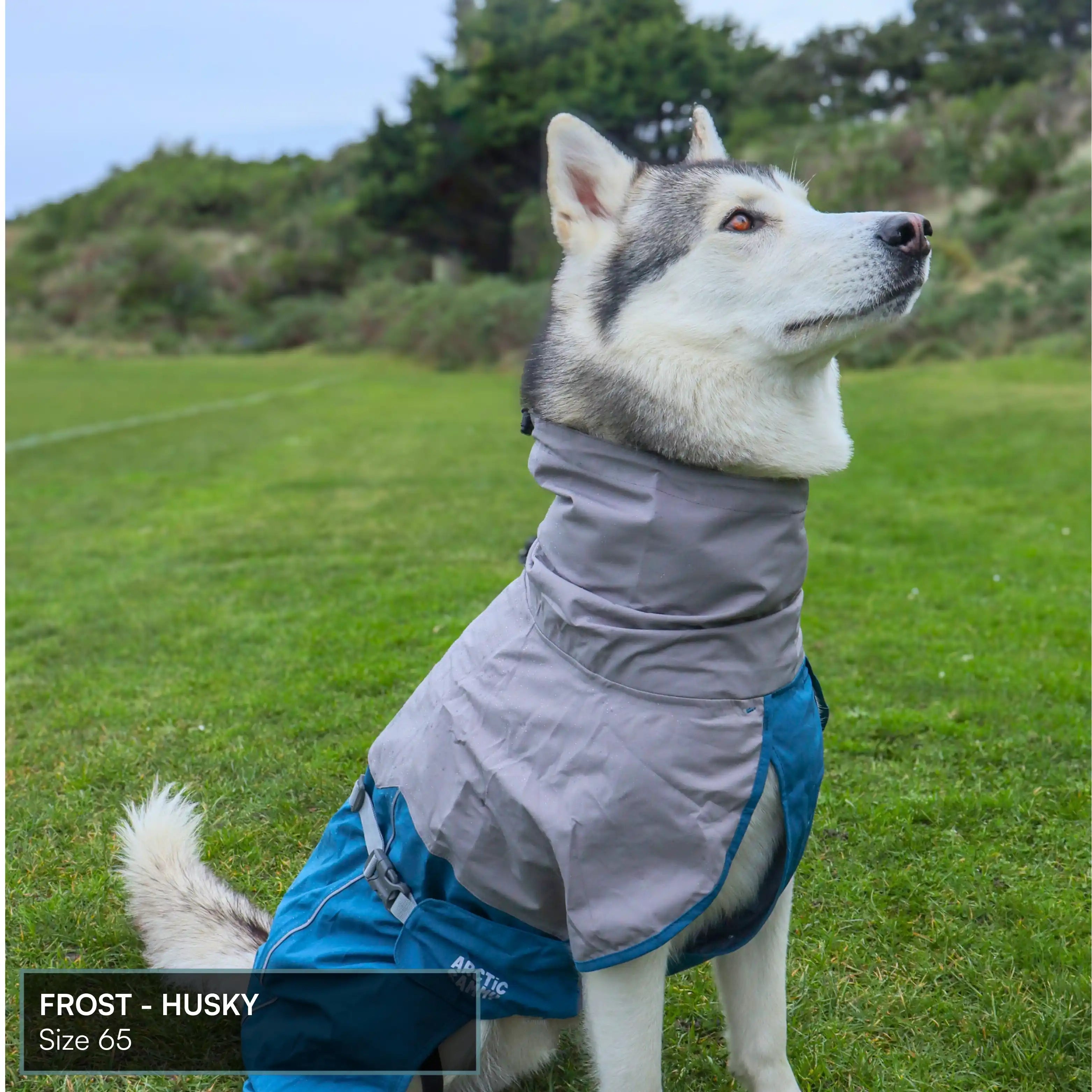 Dog Raincoat Milford