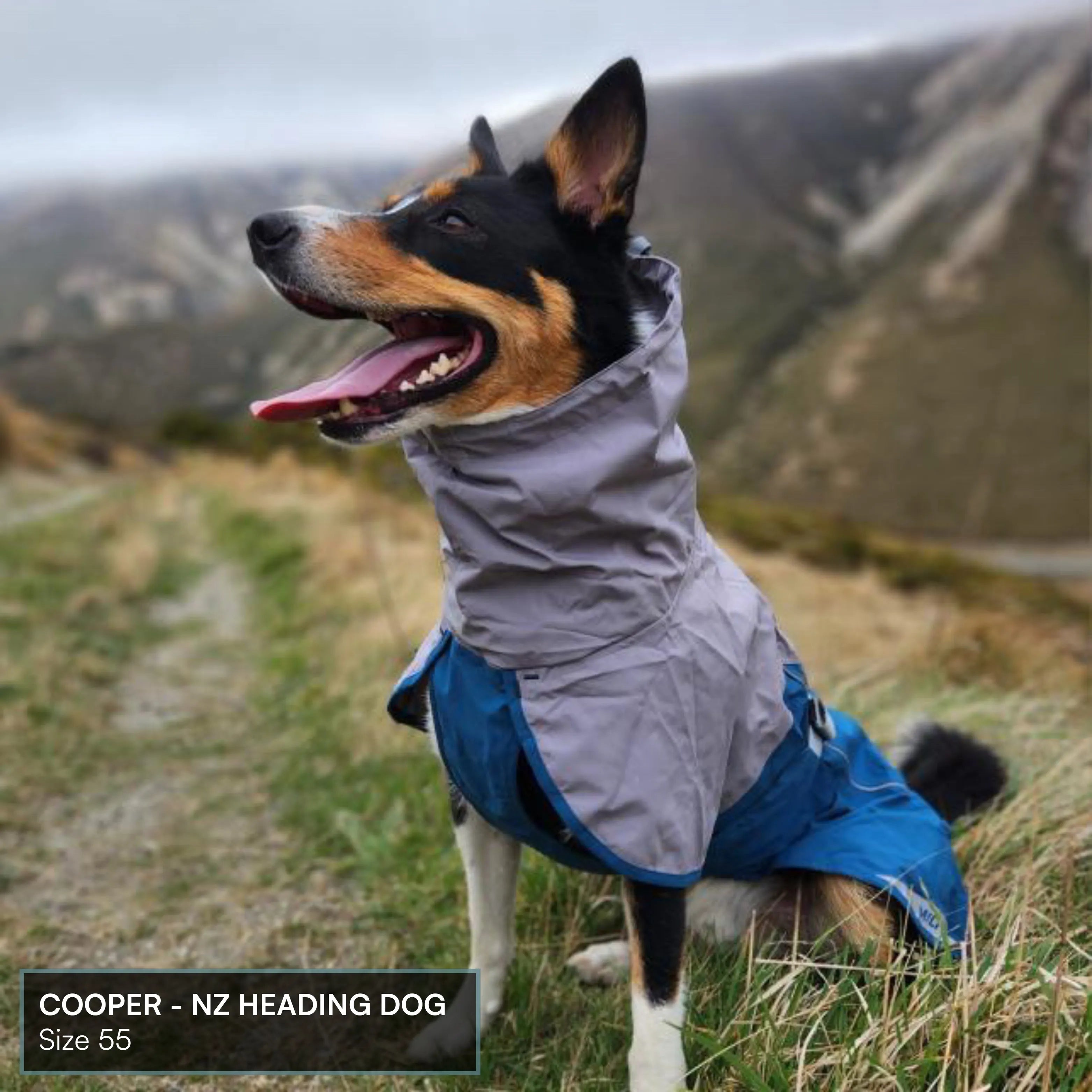 Dog Raincoat Milford