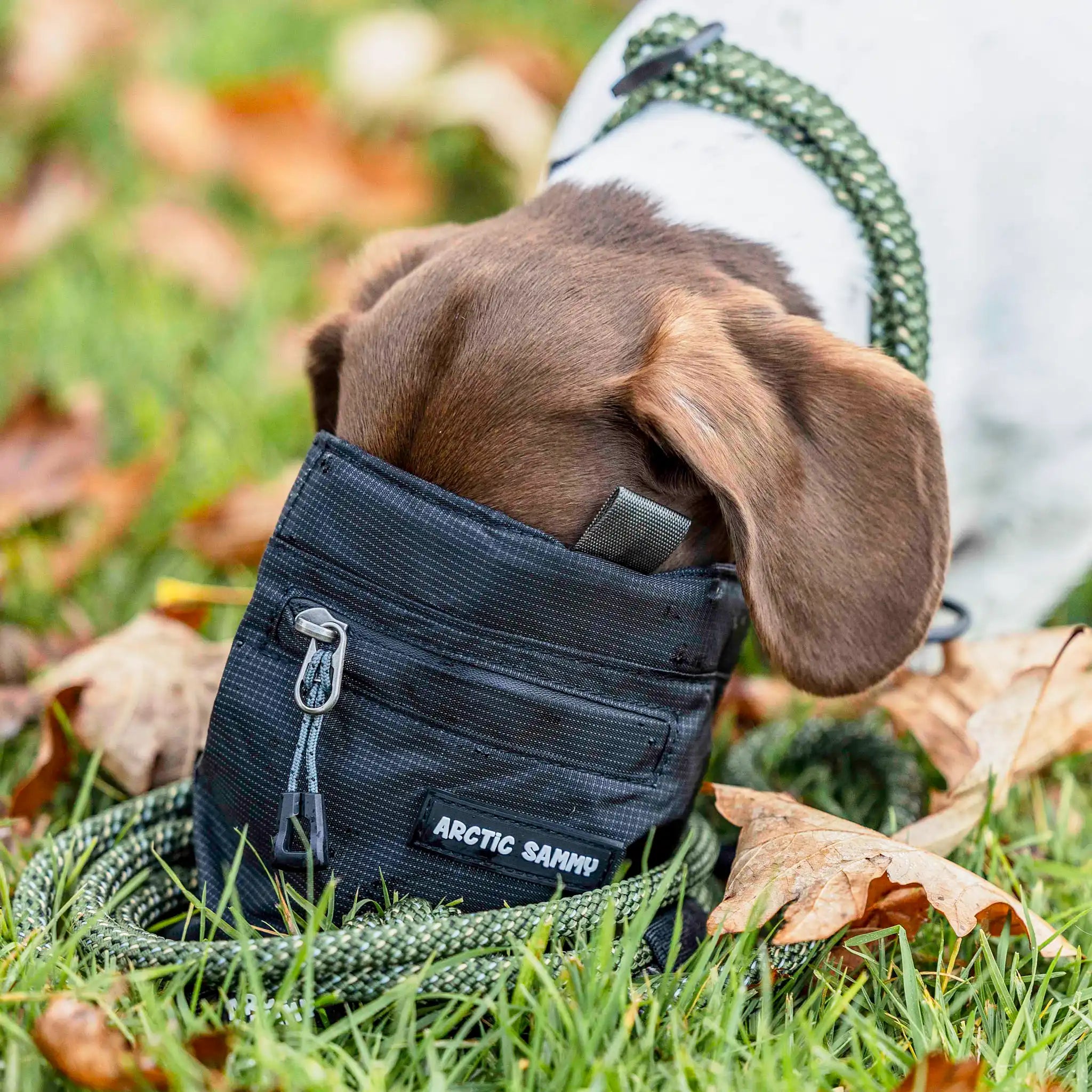 Dog Treat Pouch