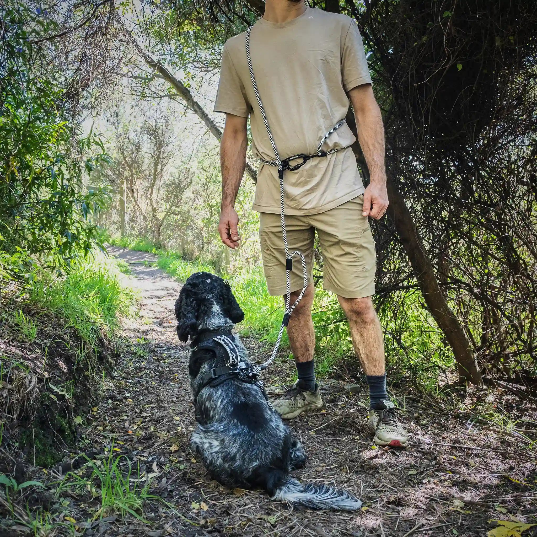 Aoraki Trail Runner Handsfree Dog Leash
