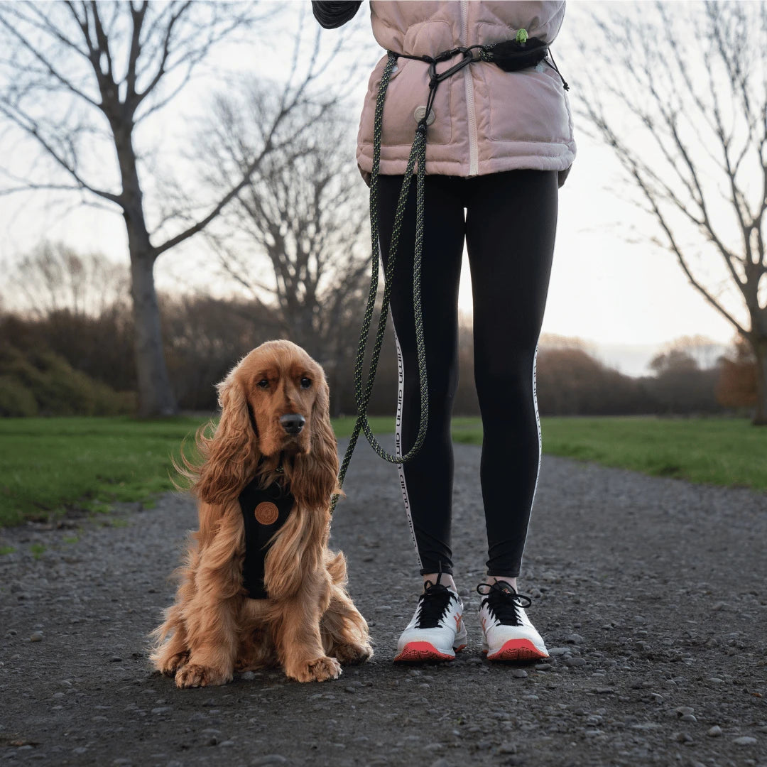 Craigieburn Trail Runner Handsfree Dog Leash