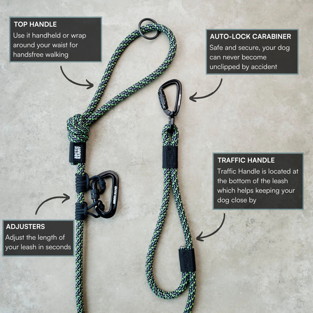 Craigieburn Trail Runner Handsfree Dog Leash