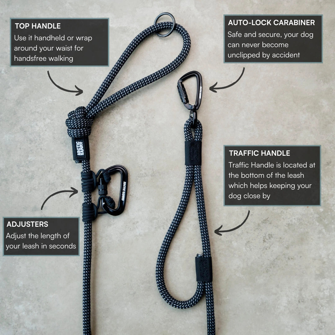 Mackenzie Trail Runner Handsfree Dog Leash