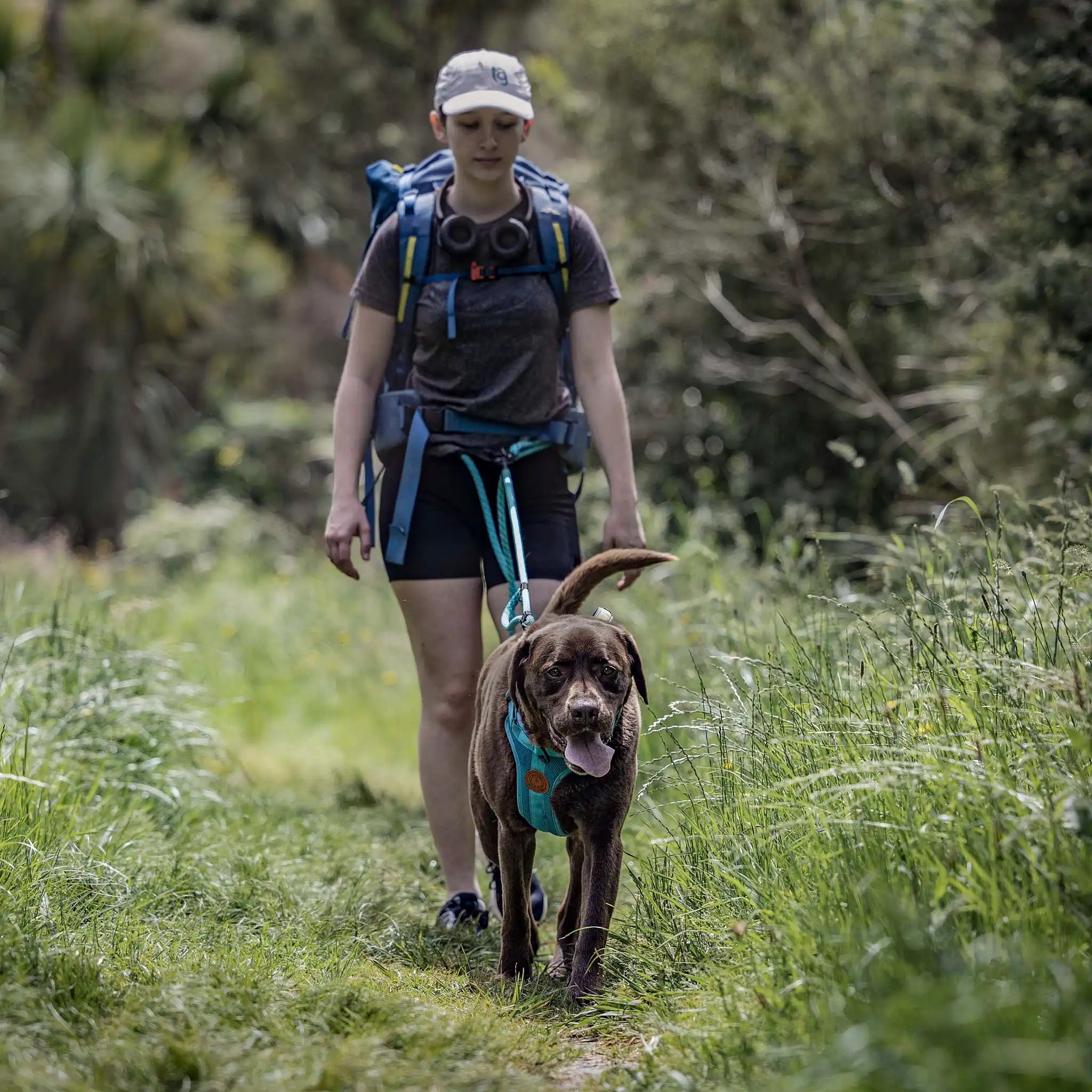 Pukaki Trail Runner Handsfree Dog Leash