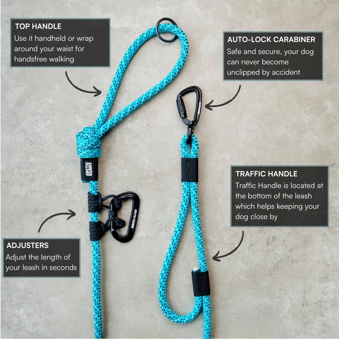 Pukaki Trail Runner Handsfree Dog Leash