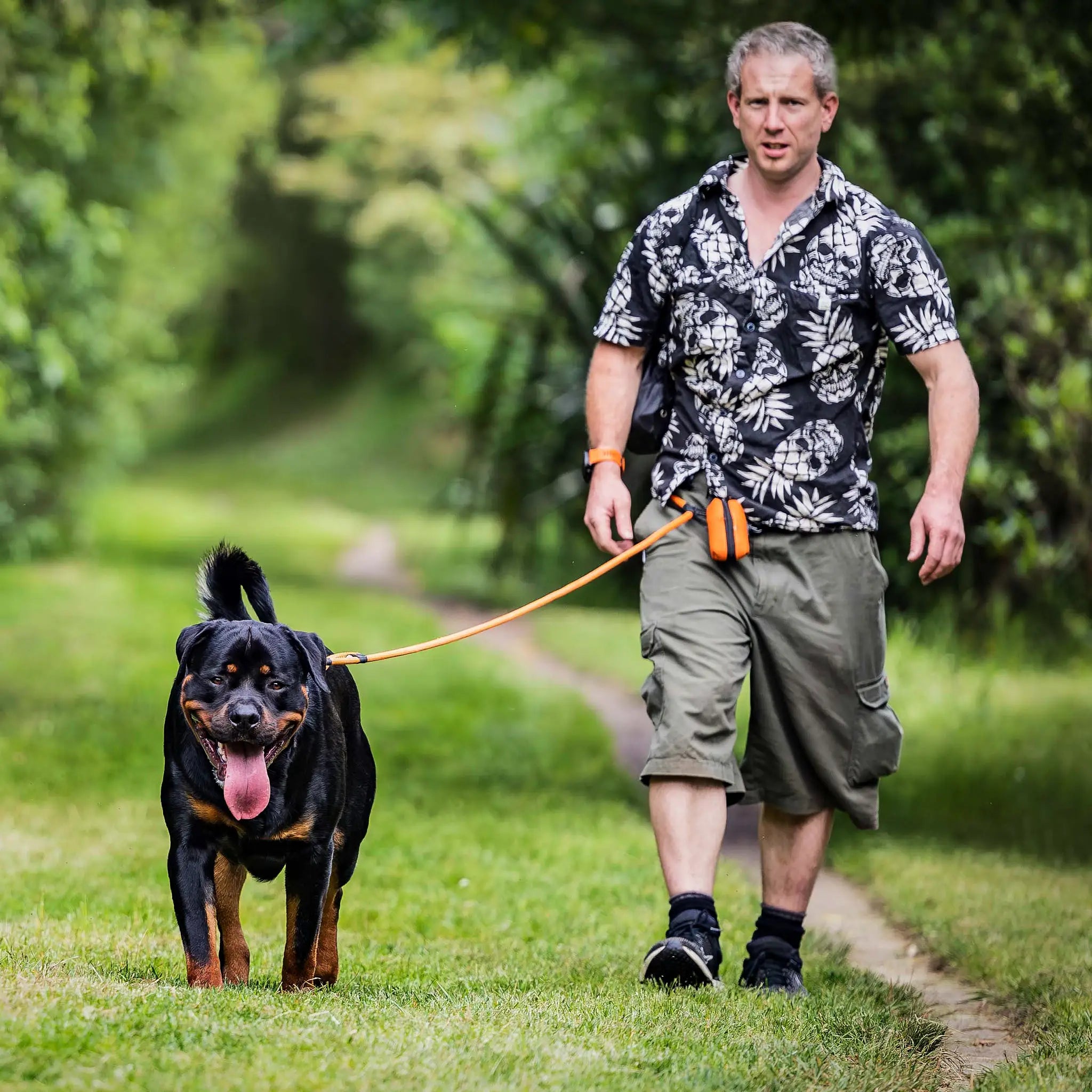 Hawea Trail Runner Handsfree Dog Leash