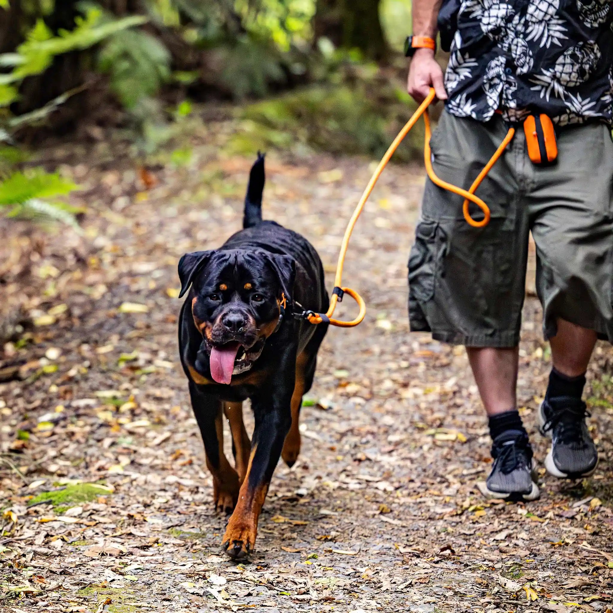 Hawea Trail Runner Handsfree Dog Leash
