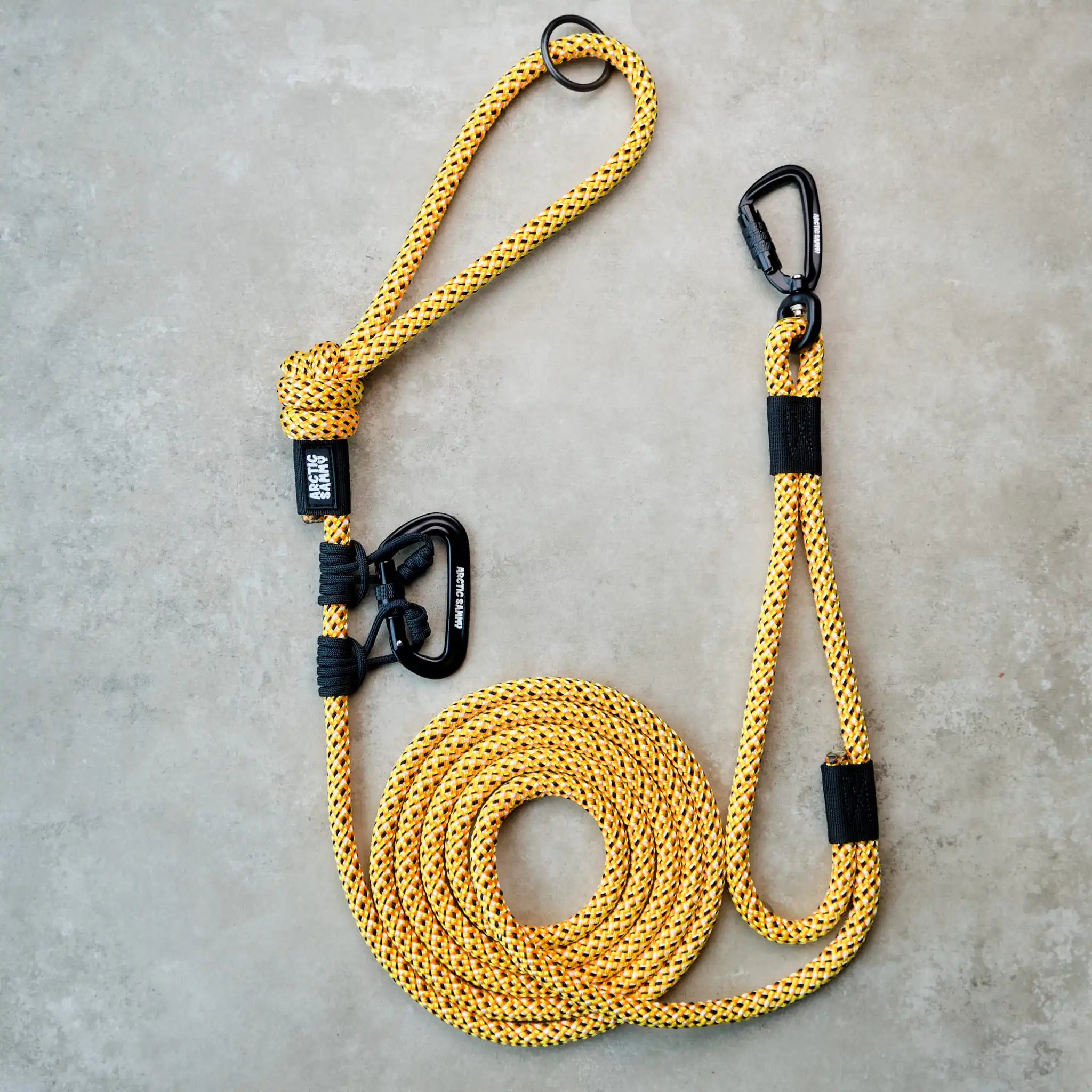 Raglan Trail Runner Handsfree Dog Leash