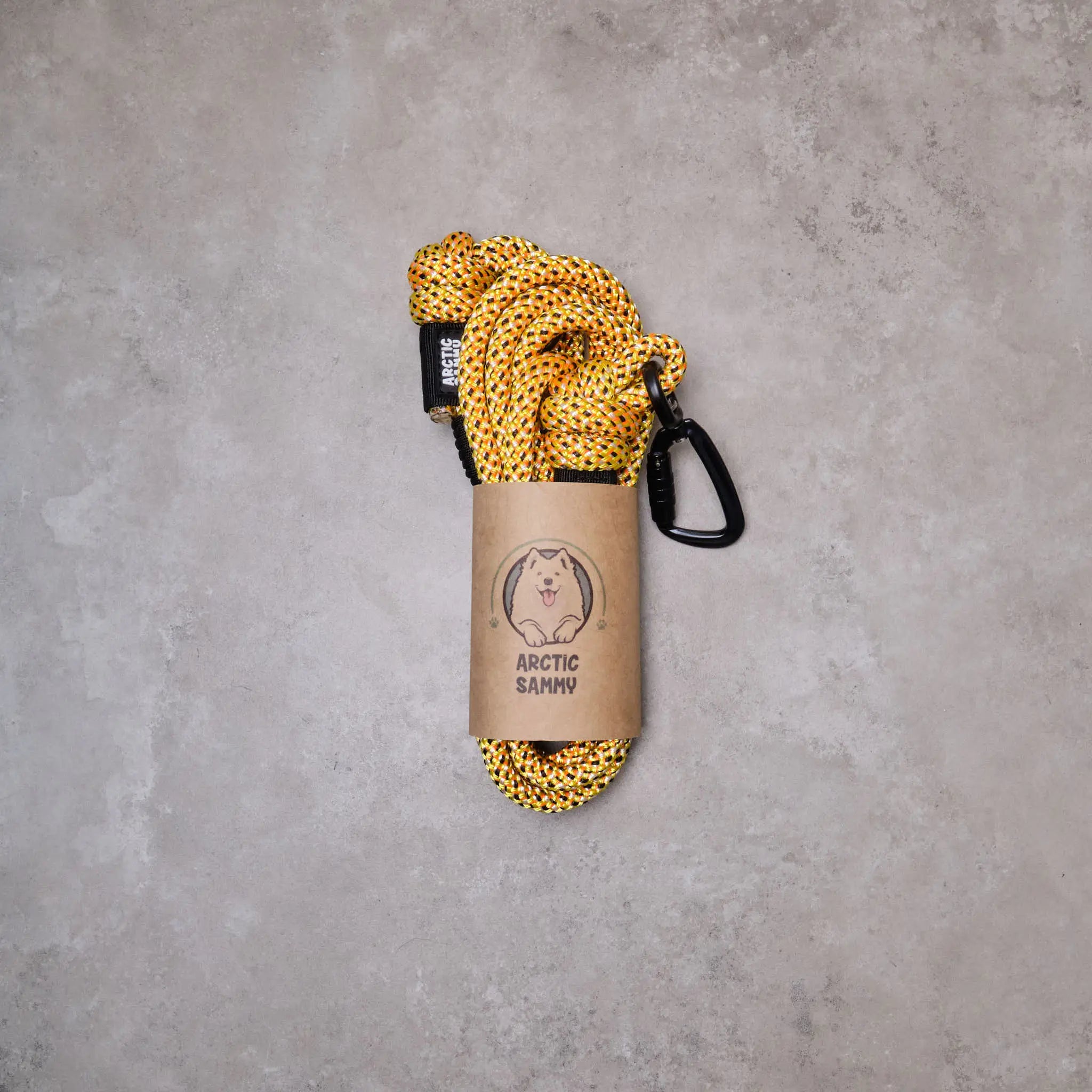 Raglan Trail Runner Handsfree Dog Leash