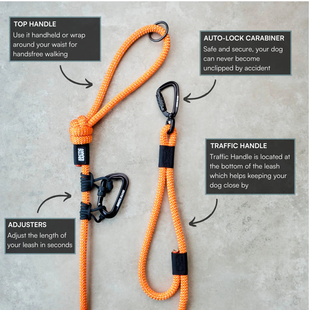 Hawea Trail Runner Handsfree Dog Leash