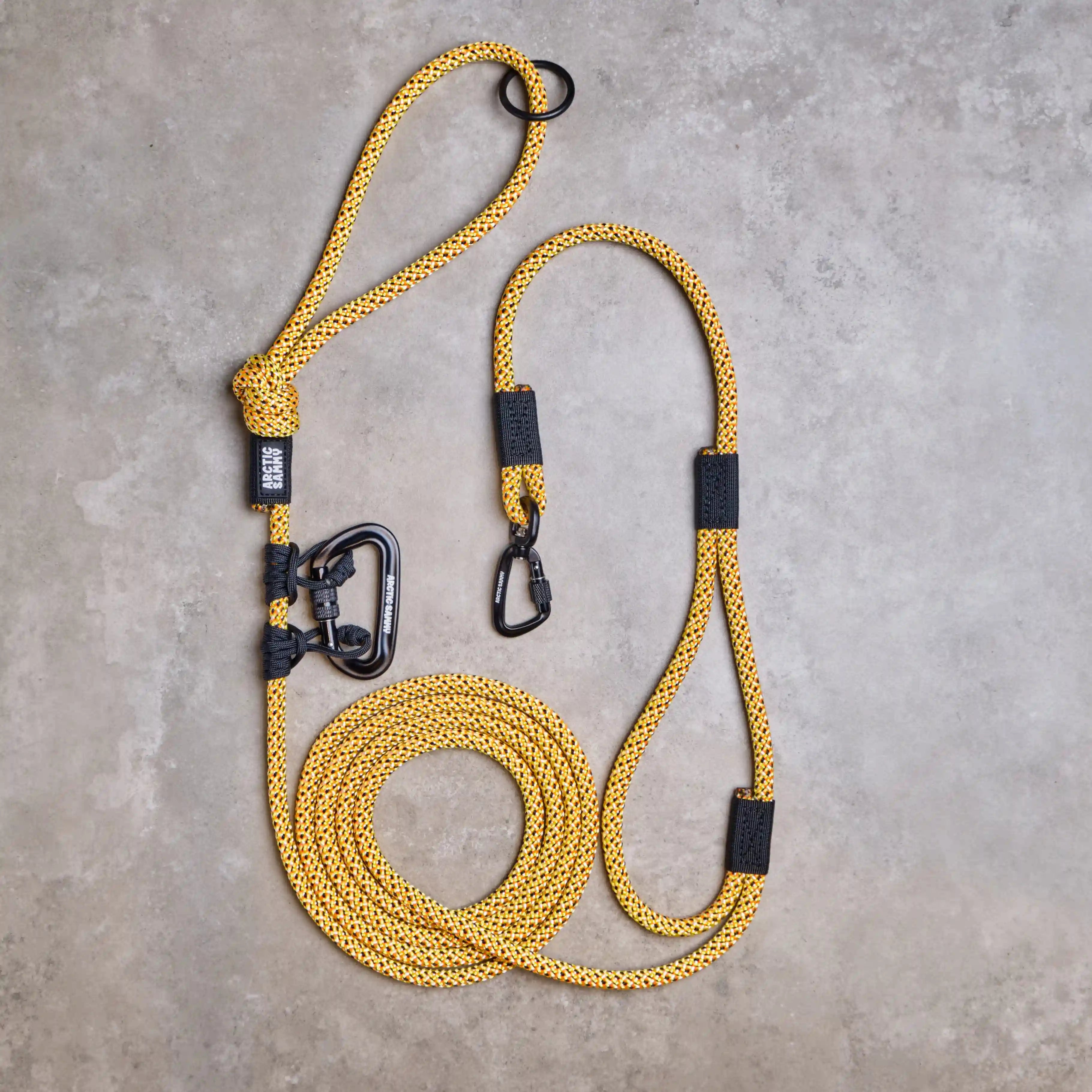 Raglan Trail Runner Handsfree Dog Leash