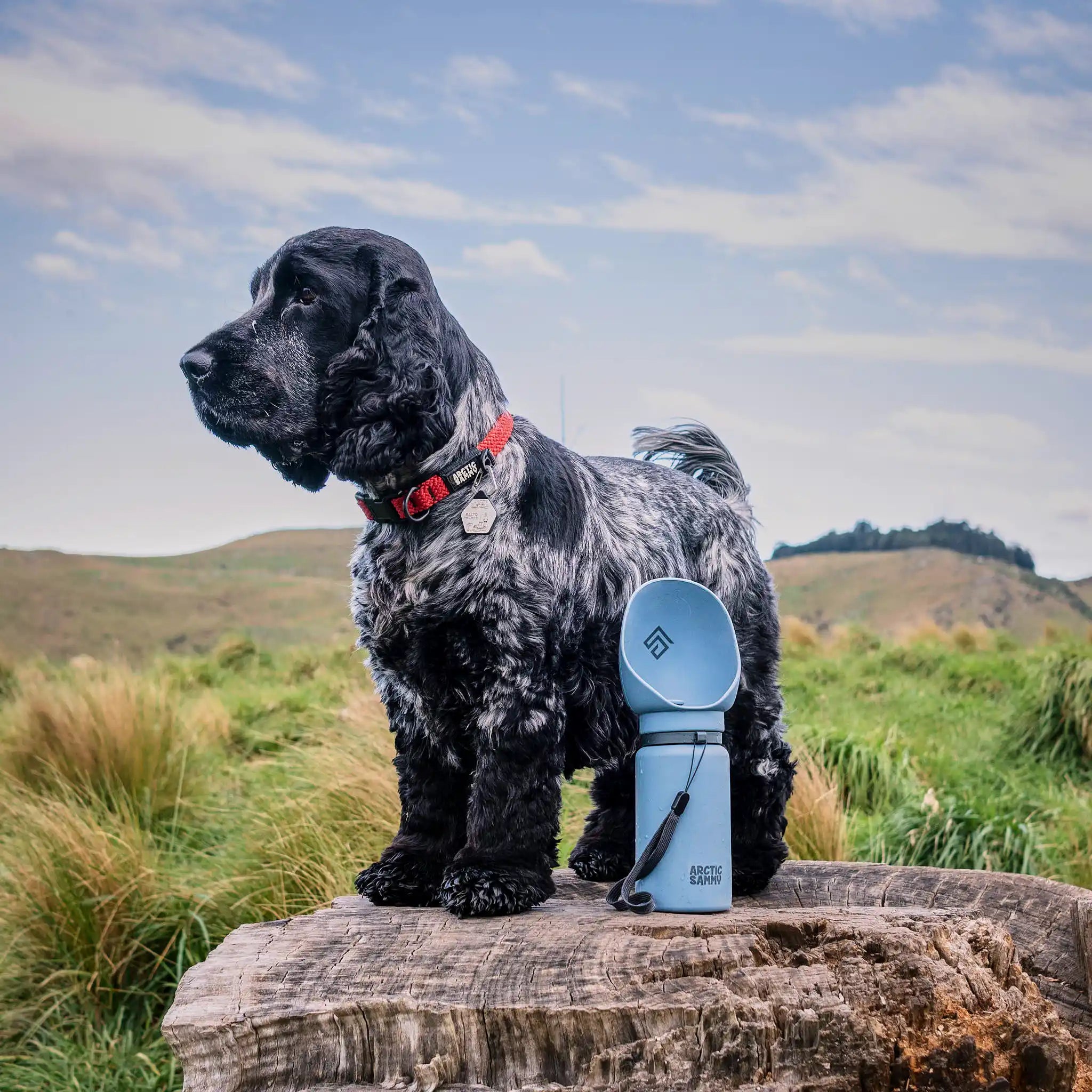 HydroFold Dog Water Bottle