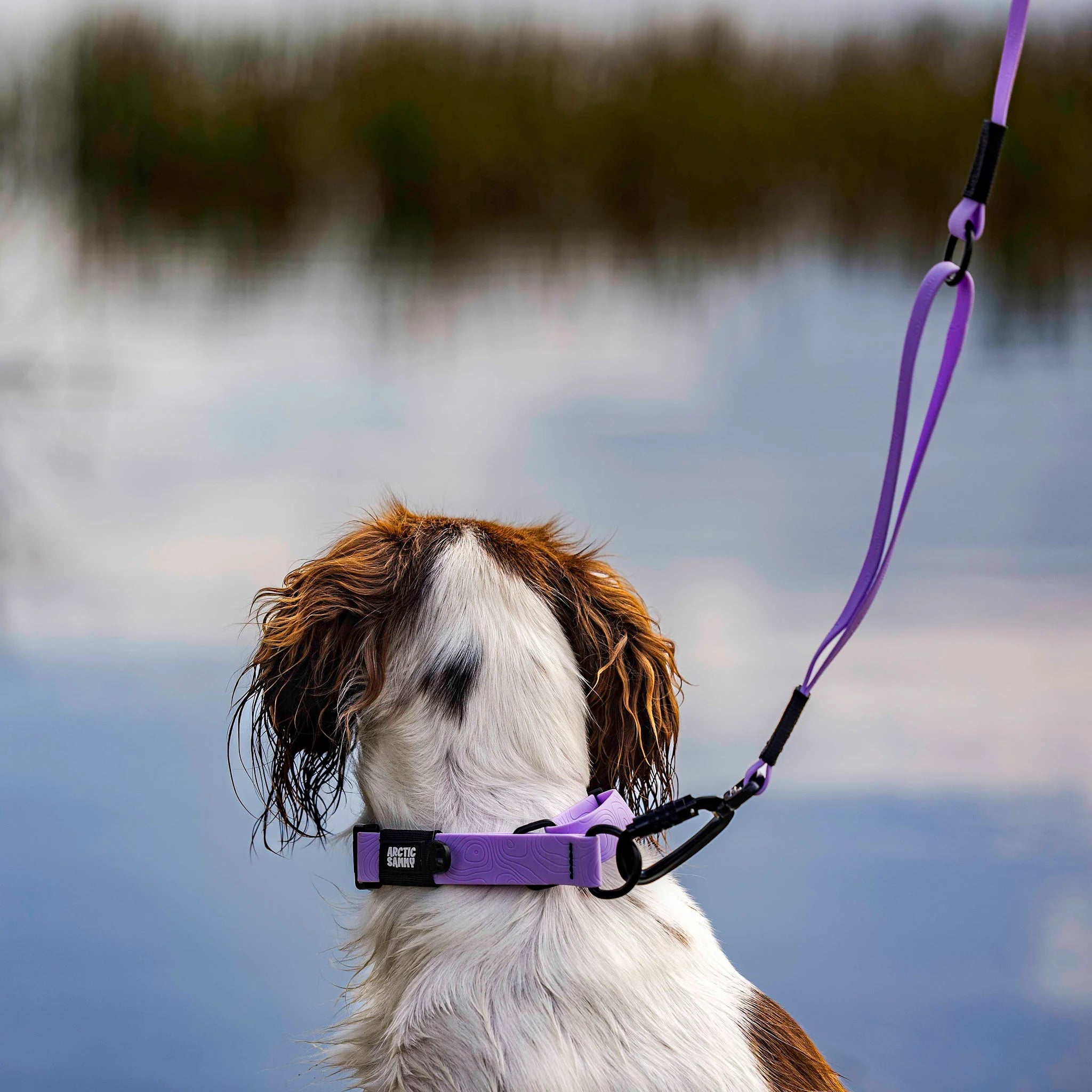 Lavender Terraflow Traffic Handle Leash