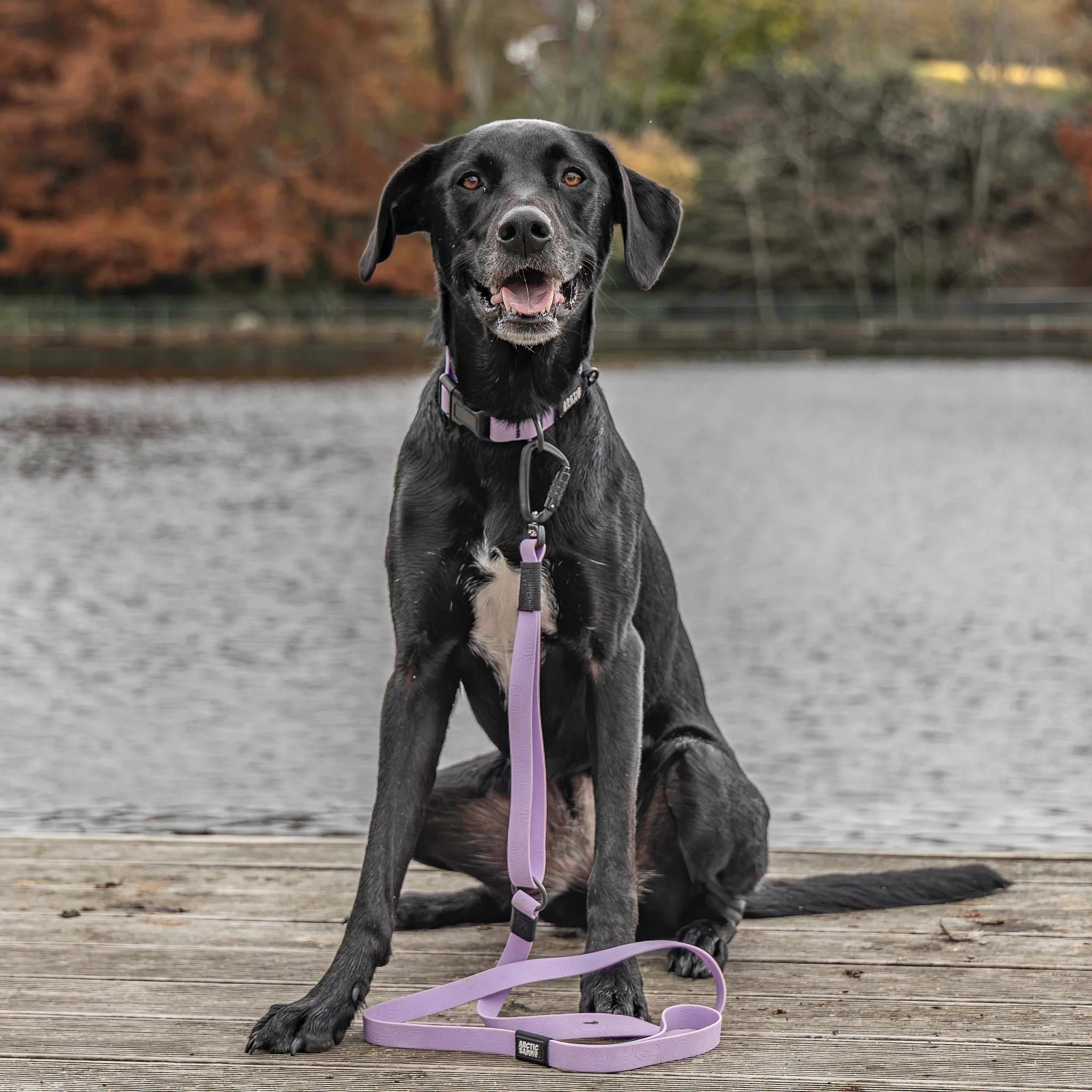 Lavender Terraflow Traffic Handle Leash