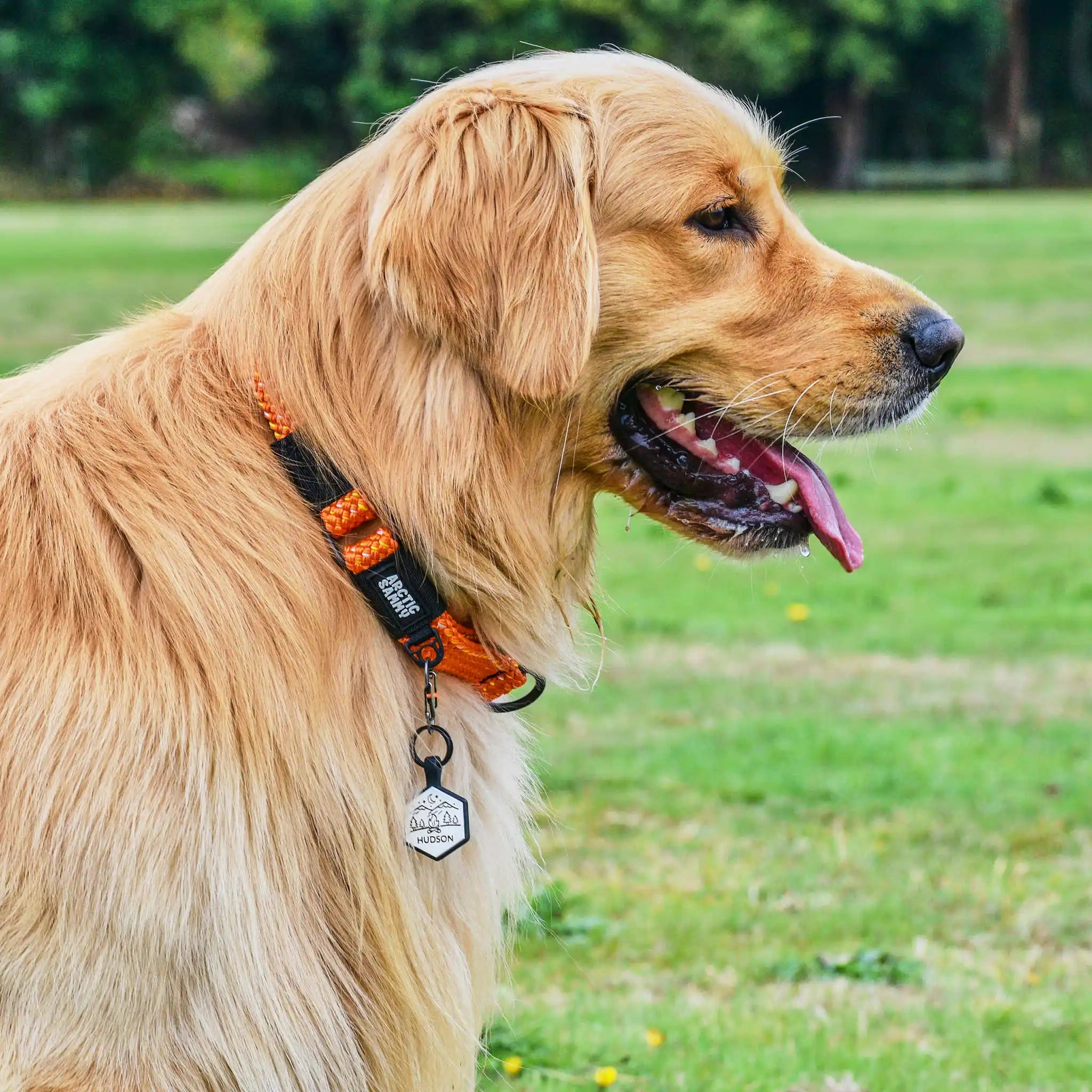 Hawea Martingale Collar