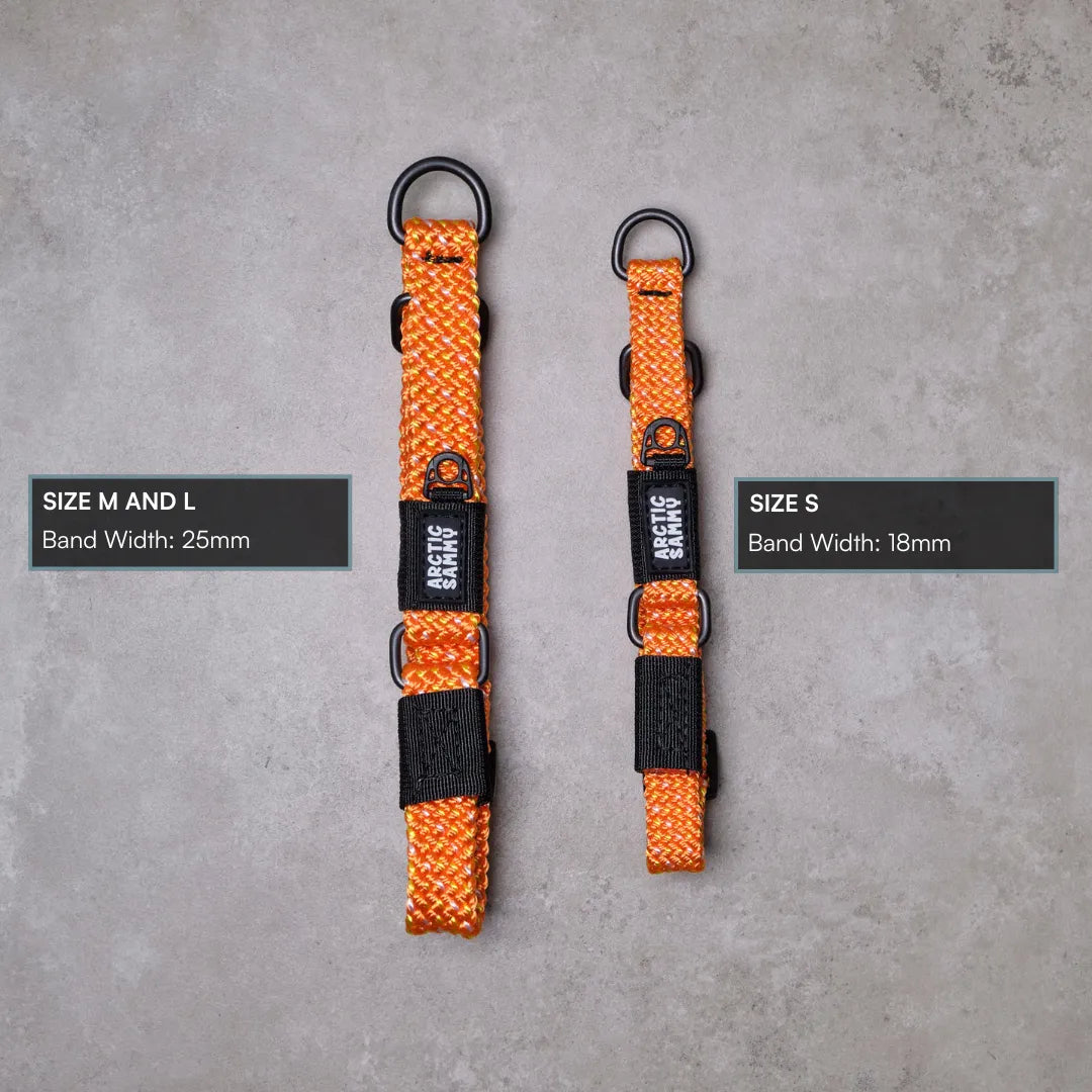 Hawea Martingale Collar