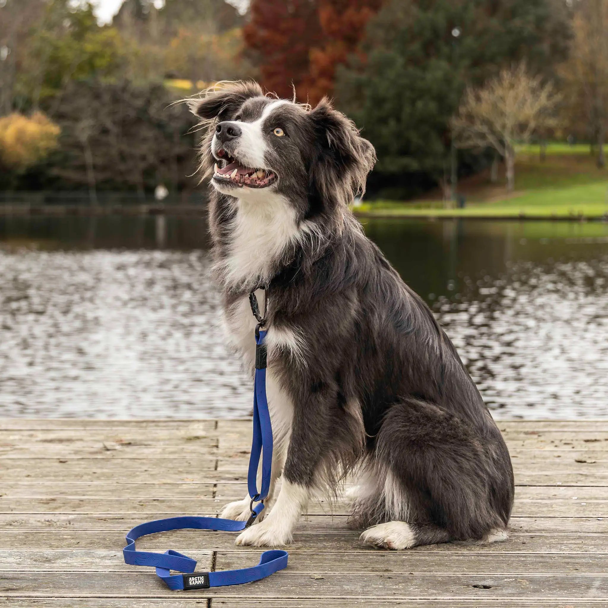 Navy Blue Terraflow Traffic Handle Leash