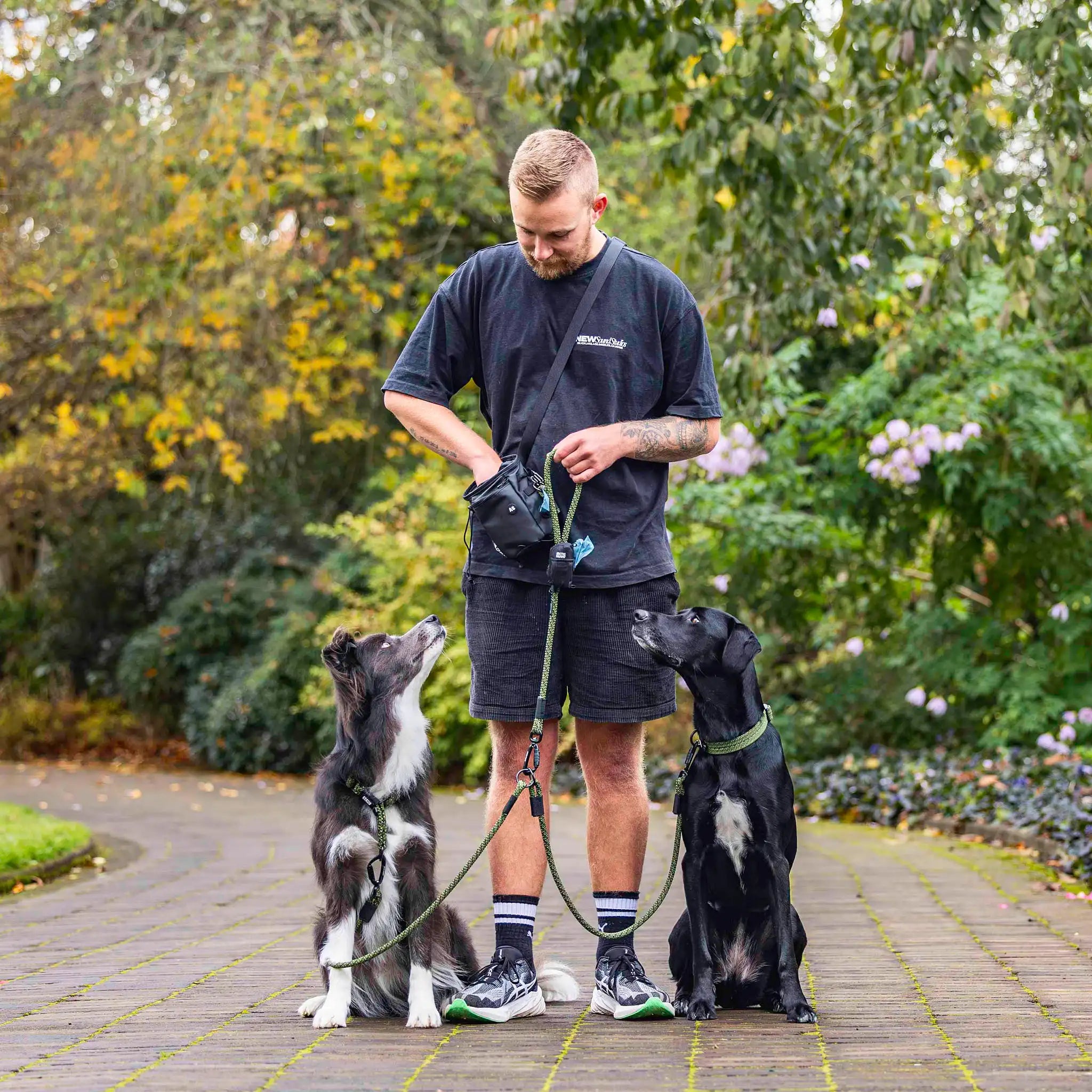 Remutaka Double Dog Leash